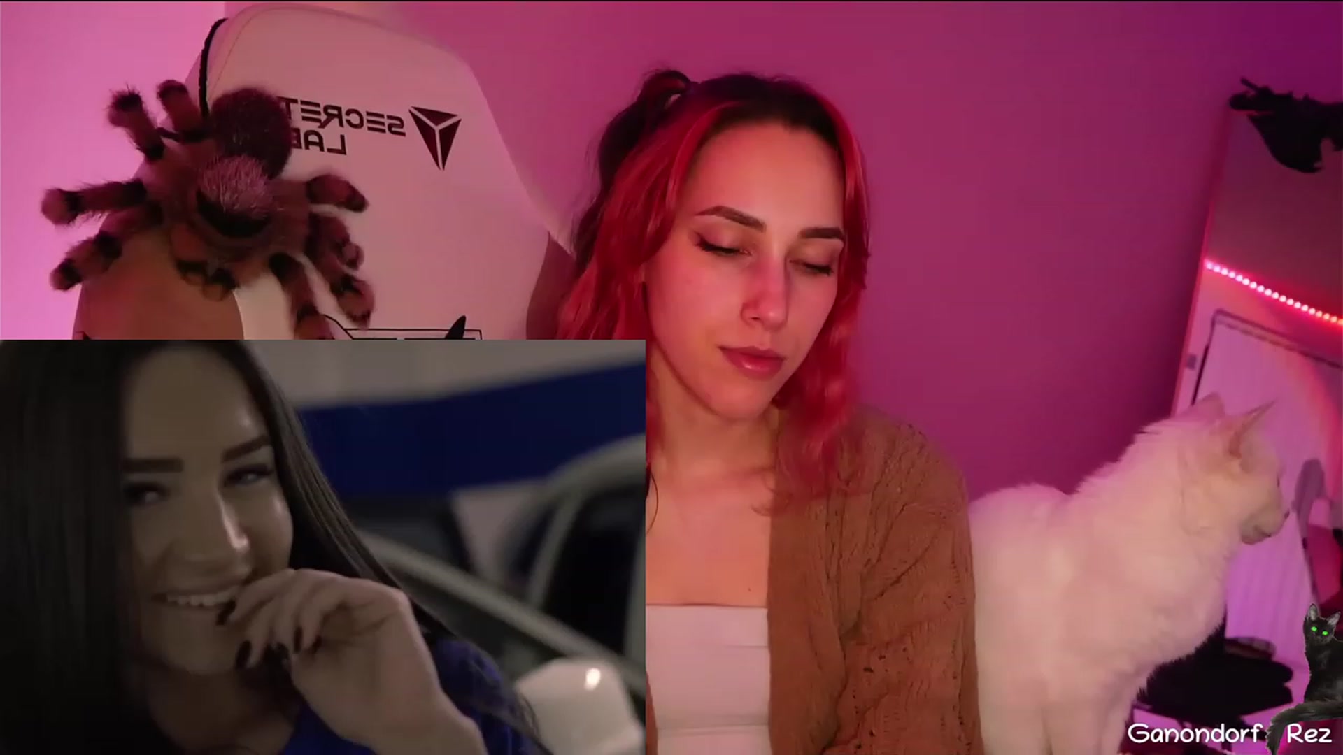Gallery image thumbnail from Dashy's myfreecams stream on, 03/29/2023, 08:57 image 16 of 20