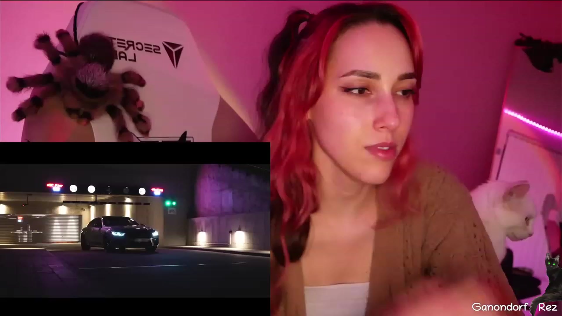 Gallery image thumbnail from Dashy's myfreecams stream on, 03/29/2023, 08:57 image 17 of 20