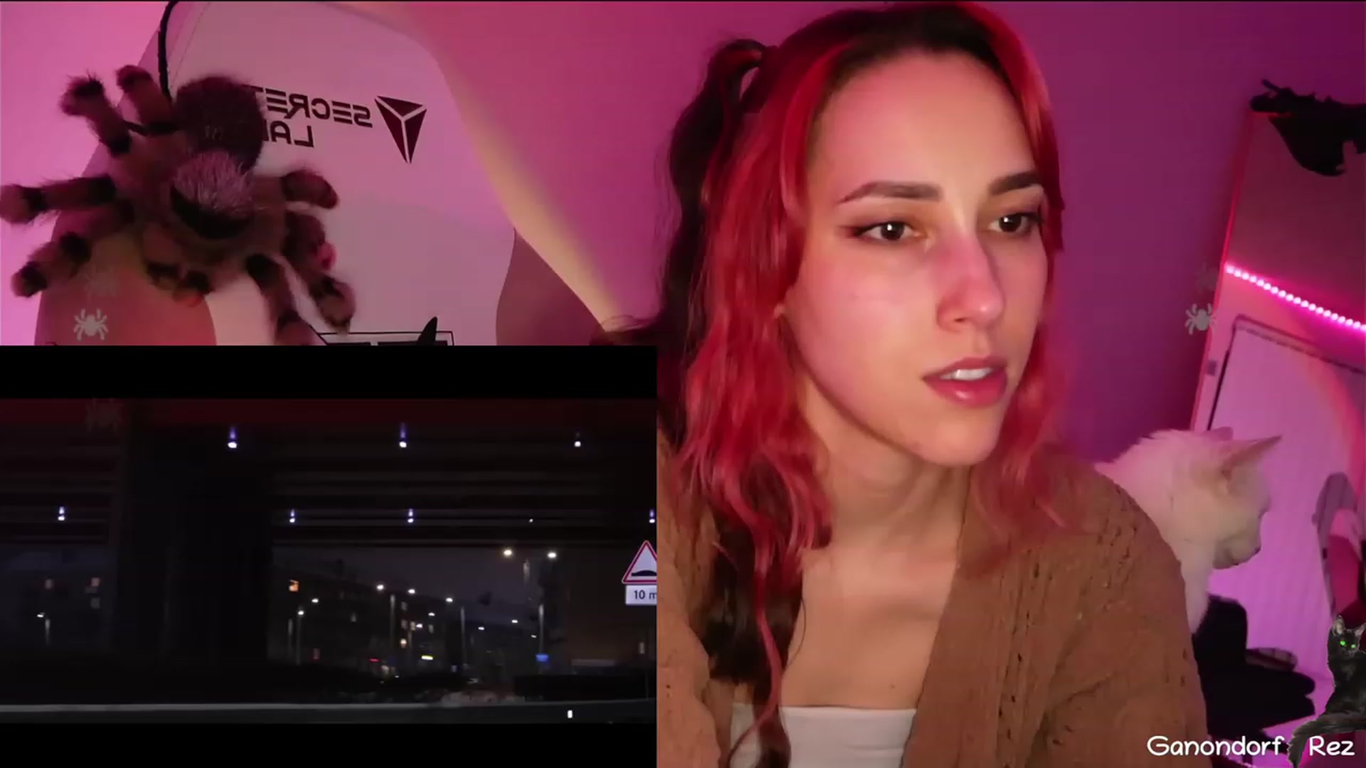Gallery image thumbnail from Dashy's myfreecams stream on, 03/29/2023, 08:57 image 18 of 20