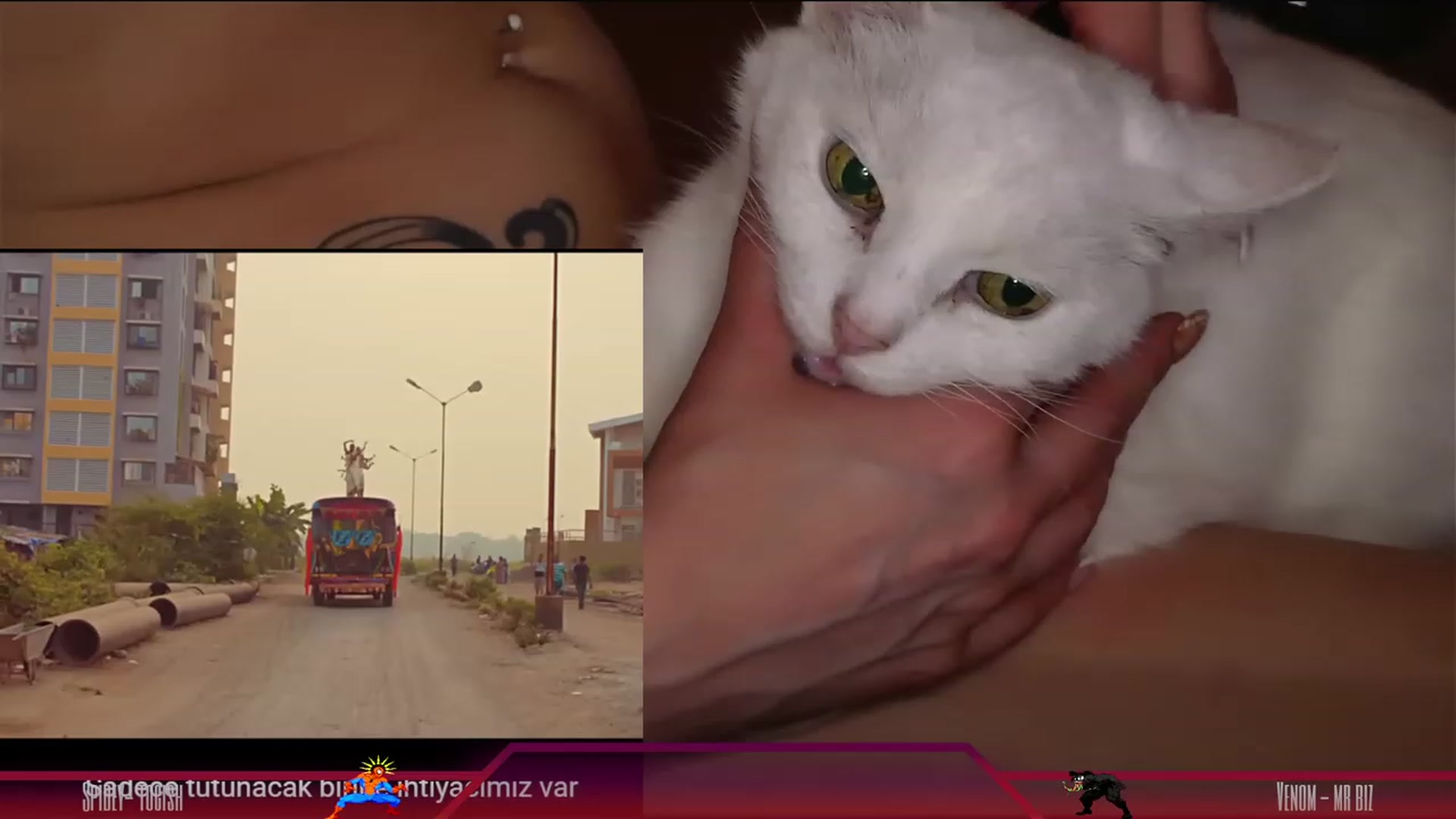Gallery image thumbnail from Dashy's myfreecams stream on, 05/06/2023, 12:41 image 18 of 20