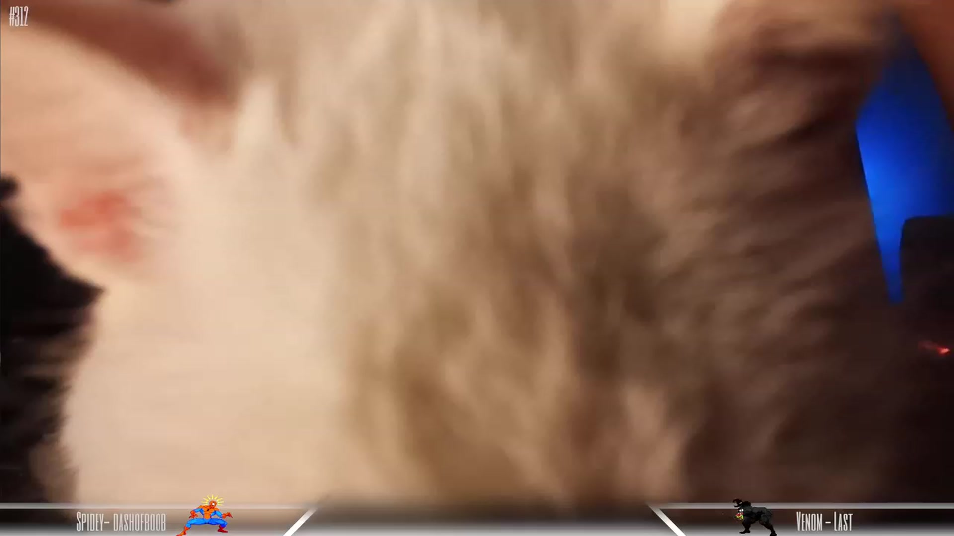 Gallery image thumbnail from Dashy's myfreecams stream on, 08/06/2023, 06:41 image 18 of 20