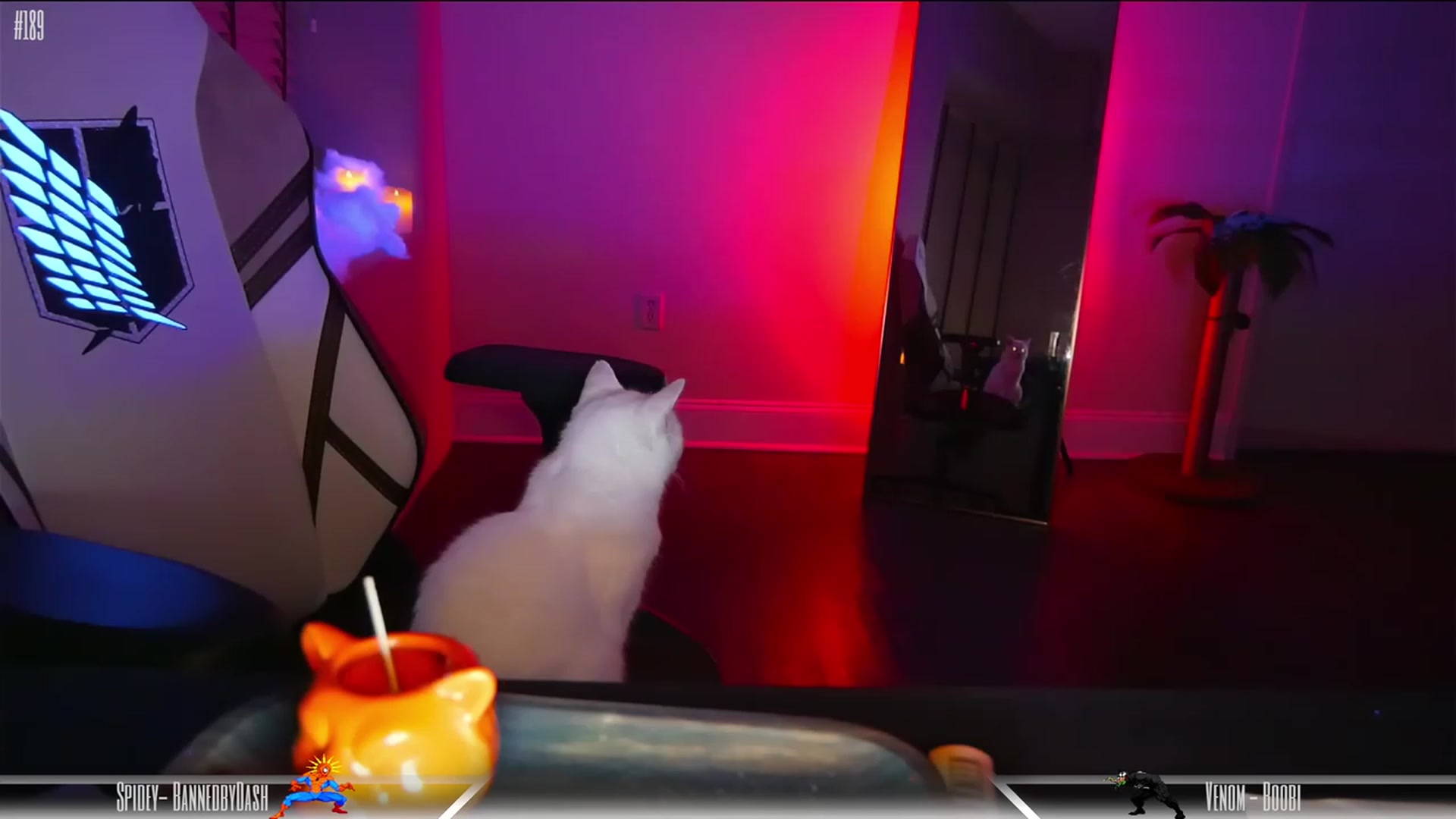 Gallery image thumbnail from Dashy's myfreecams stream on, 08/25/2023, 11:57 image 11 of 20