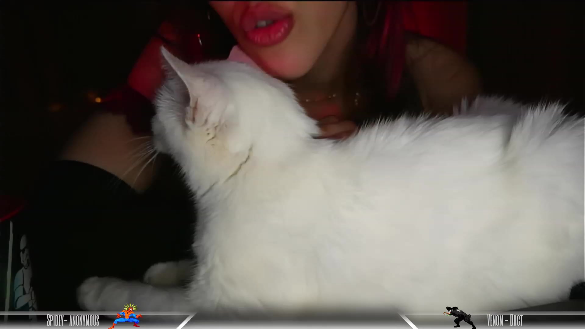 Gallery image thumbnail from Dashy's myfreecams stream on, 10/20/2023, 09:56 image 17 of 20