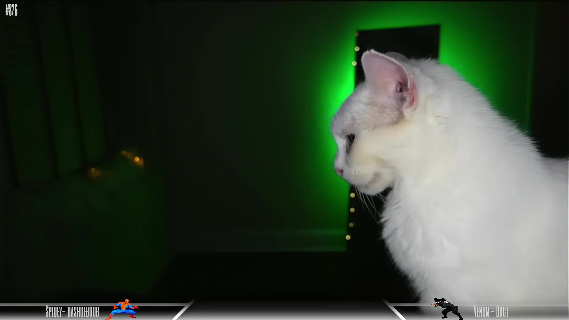 Gallery image thumbnail from Dashy's myfreecams stream on, 10/25/2023, 08:45 image 12 of 20