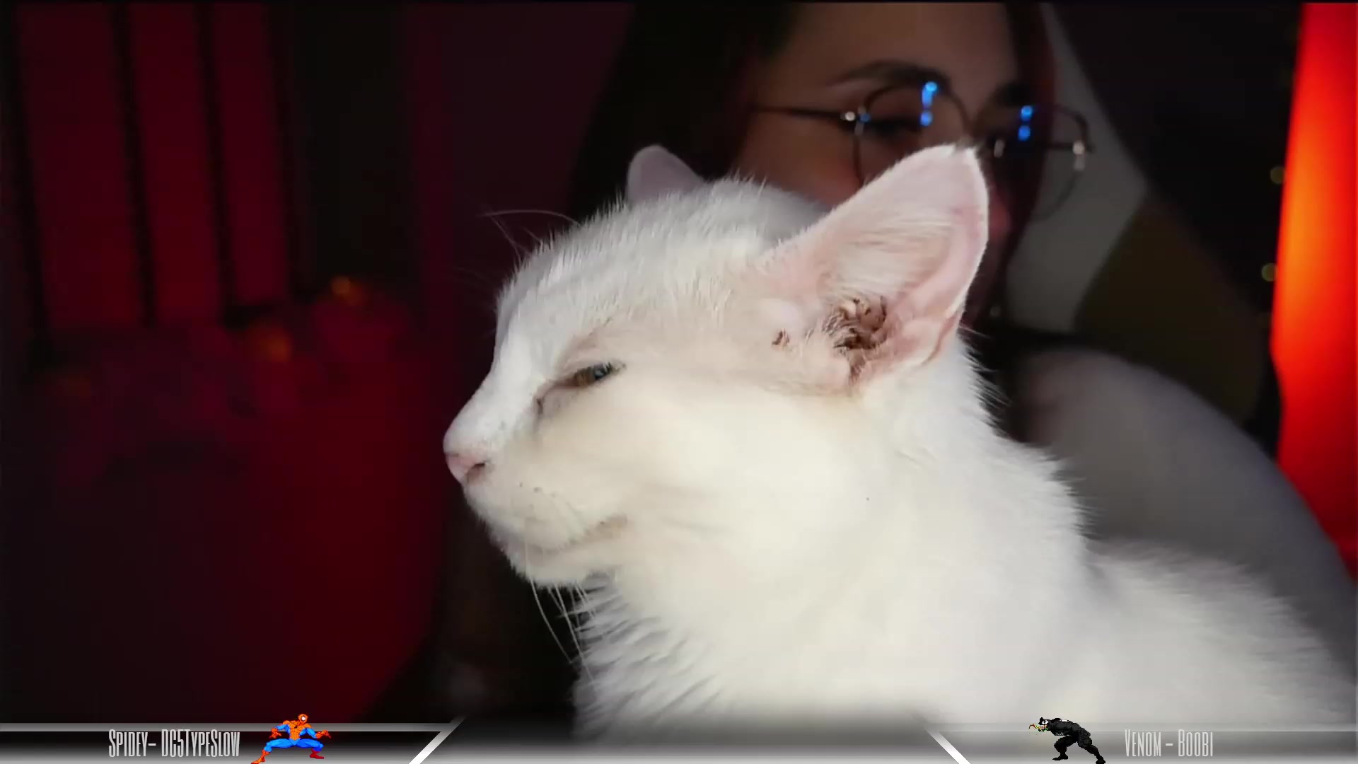 Gallery image thumbnail from Dashy's myfreecams stream on, 11/12/2023, 11:14 image 18 of 20