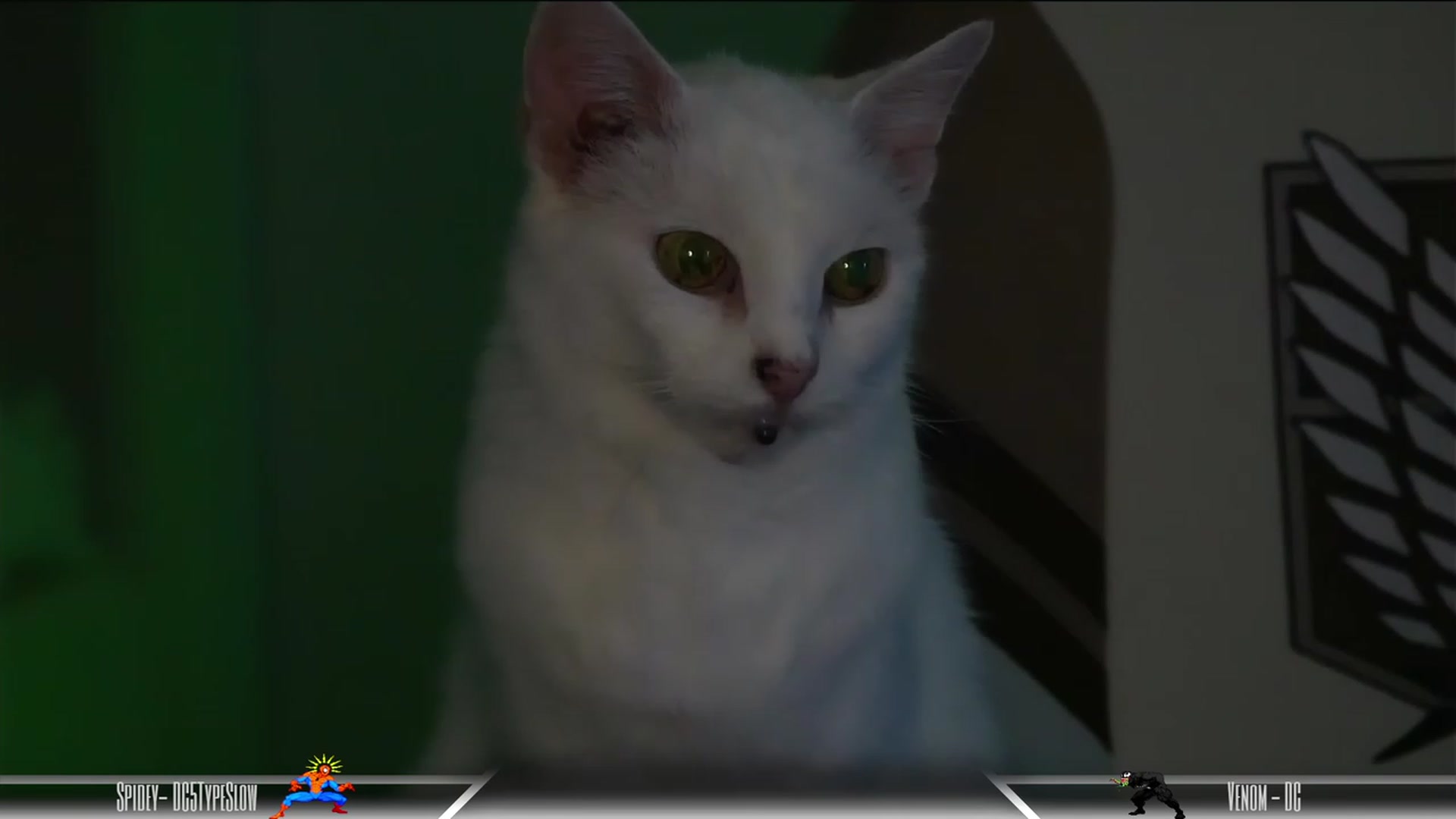 Gallery image thumbnail from Dashy's myfreecams stream on, 11/18/2023, 06:32 image 10 of 20