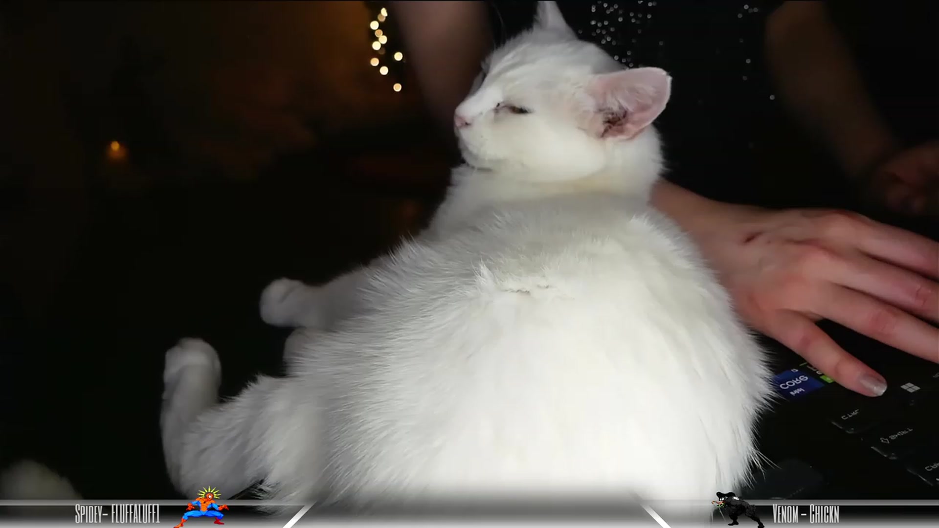 Gallery image thumbnail from Dashy's myfreecams stream on, 01/06/2024, 10:00 image 6 of 20