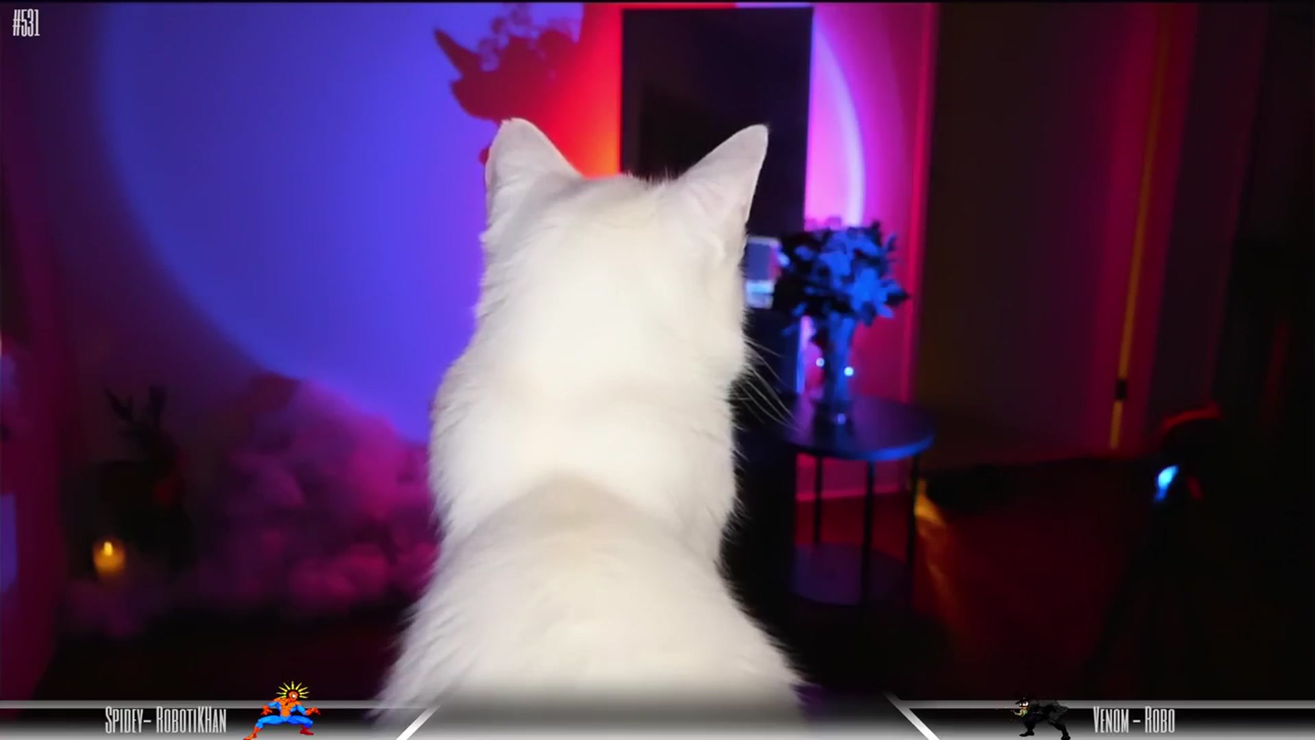 Gallery image thumbnail from Dashy's myfreecams stream on, 02/17/2024, 12:36 image 19 of 20