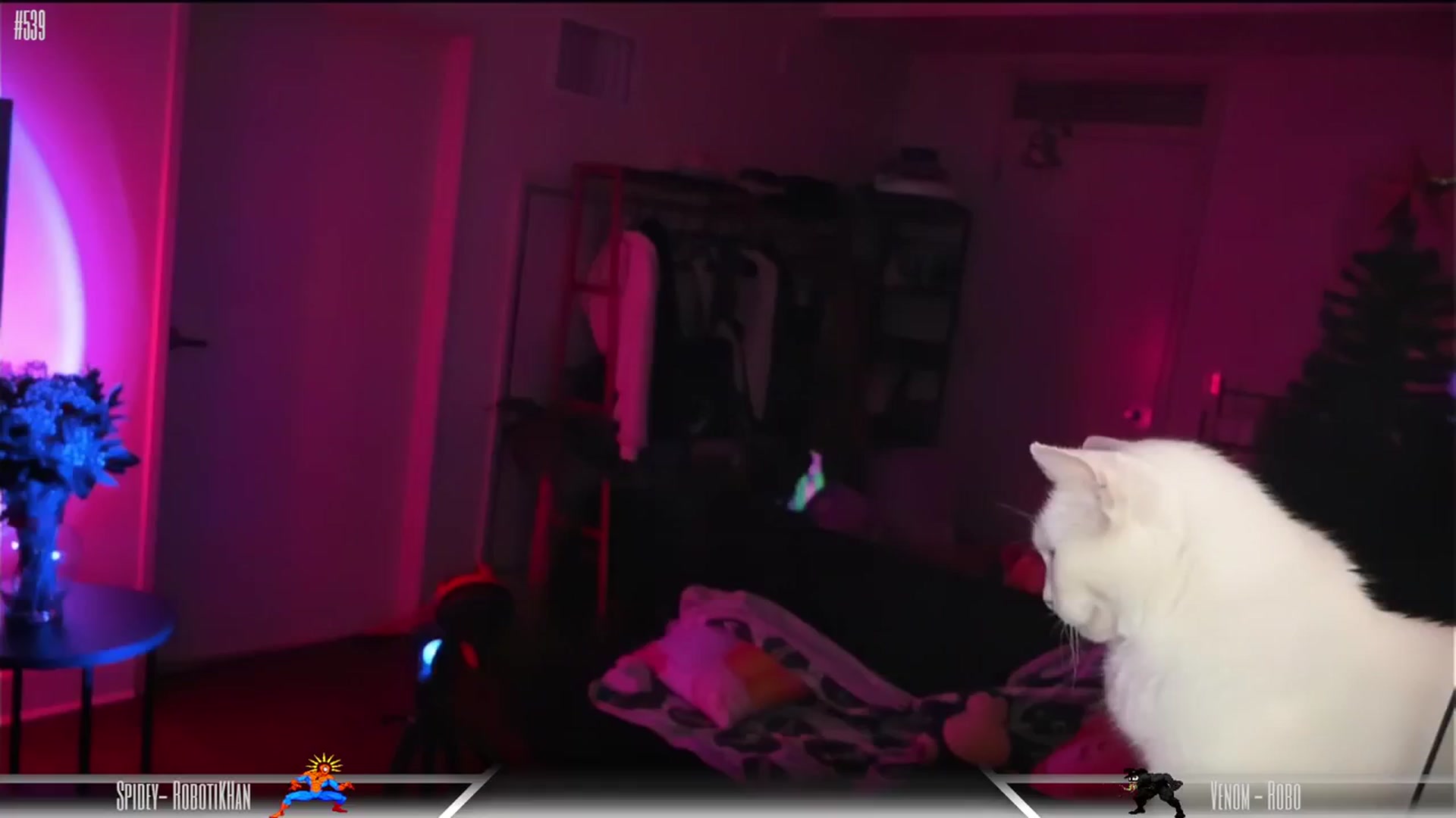 Gallery image thumbnail from Dashy's myfreecams stream on, 02/17/2024, 12:36 image 14 of 20