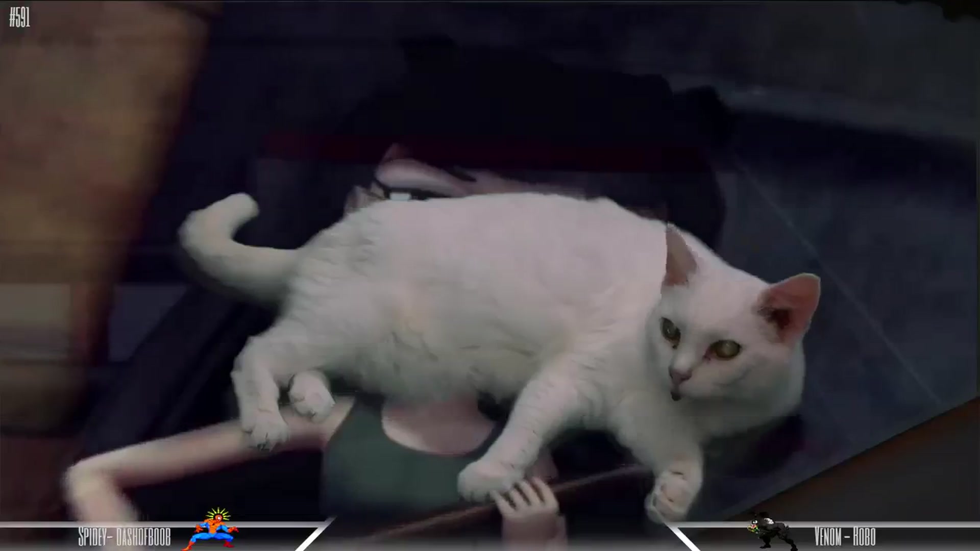 Gallery image thumbnail from Dashy's myfreecams stream on, 03/19/2024, 10:35 image 20 of 20