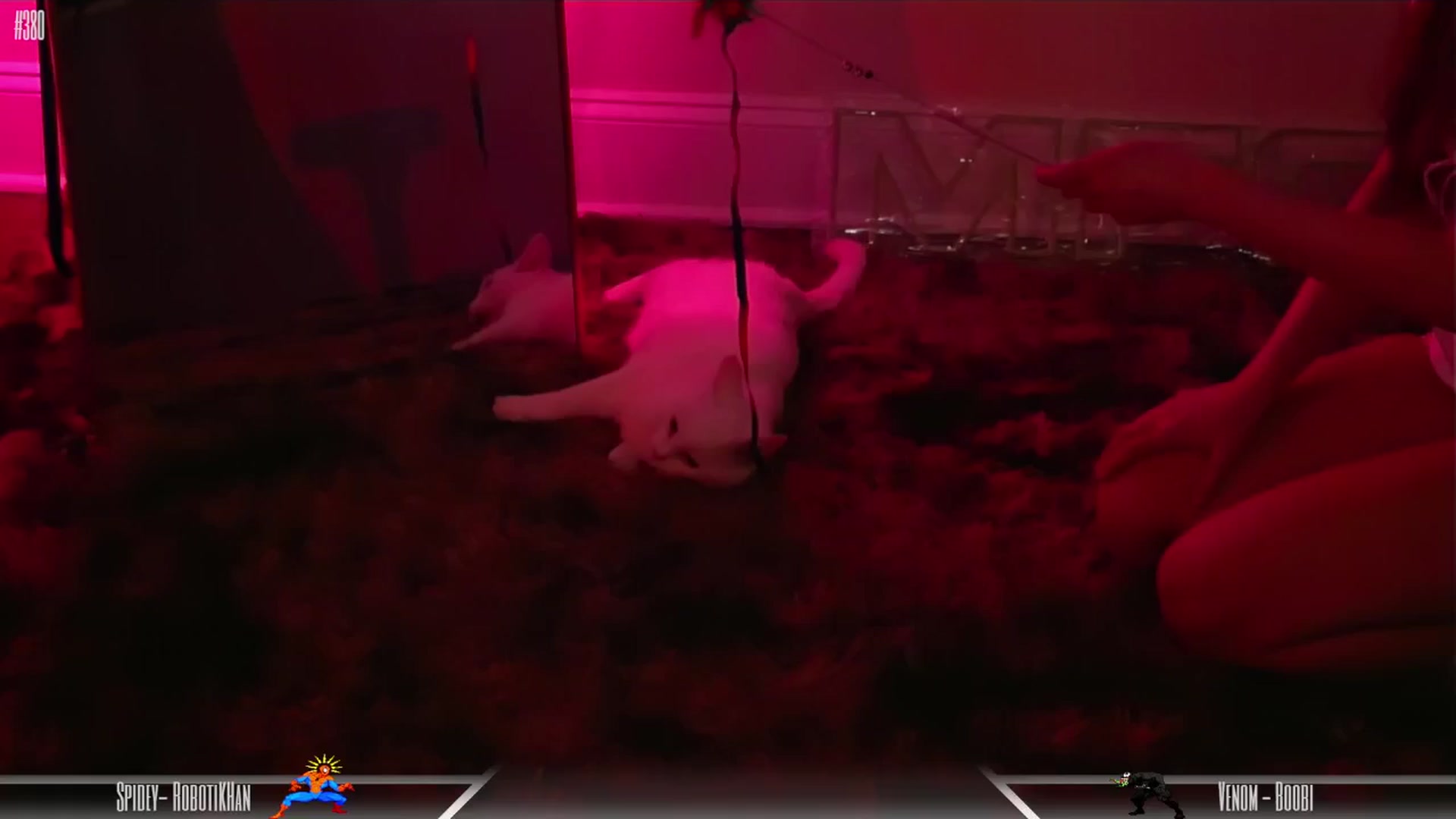 Gallery image thumbnail from Dashy's myfreecams stream on, 05/30/2024, 11:00 image 6 of 20