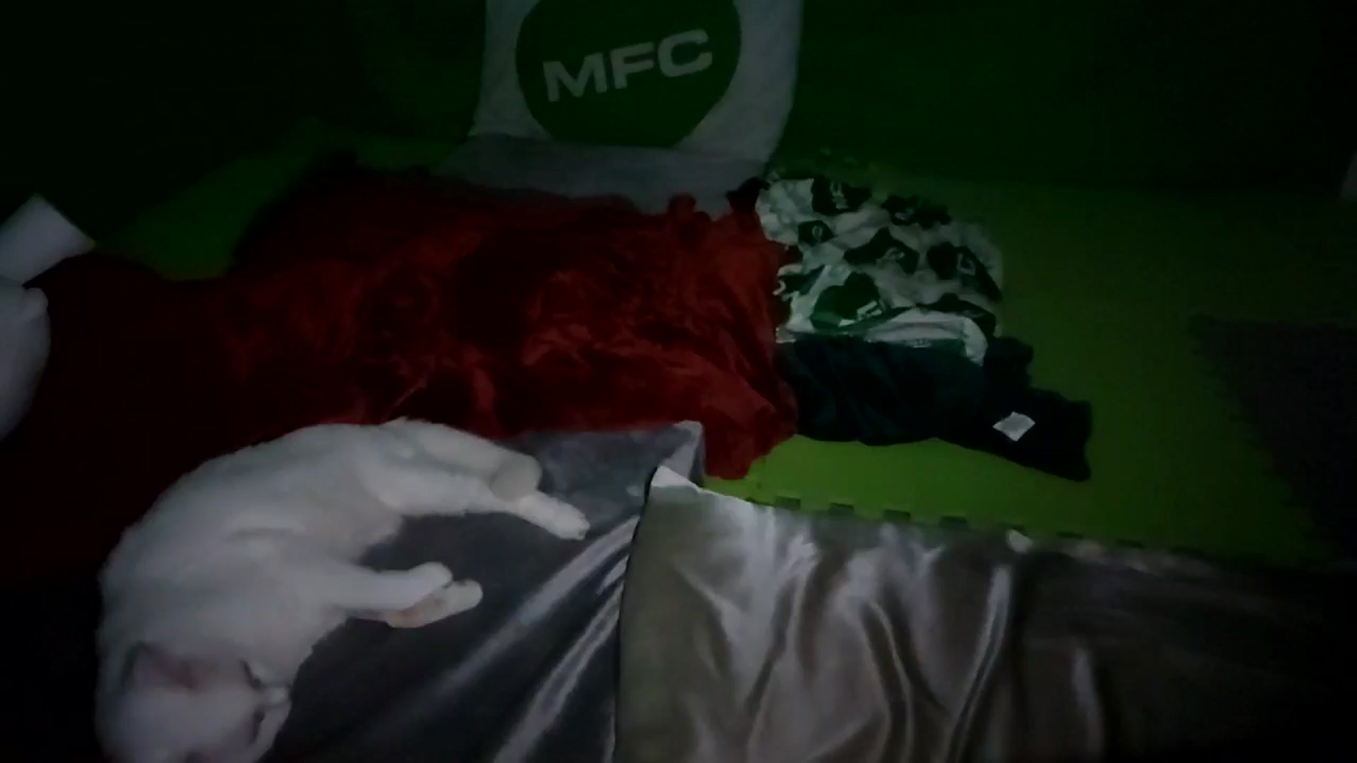 Gallery image thumbnail from Dashy's myfreecams stream on, 09/28/2024, 08:05 image 10 of 20