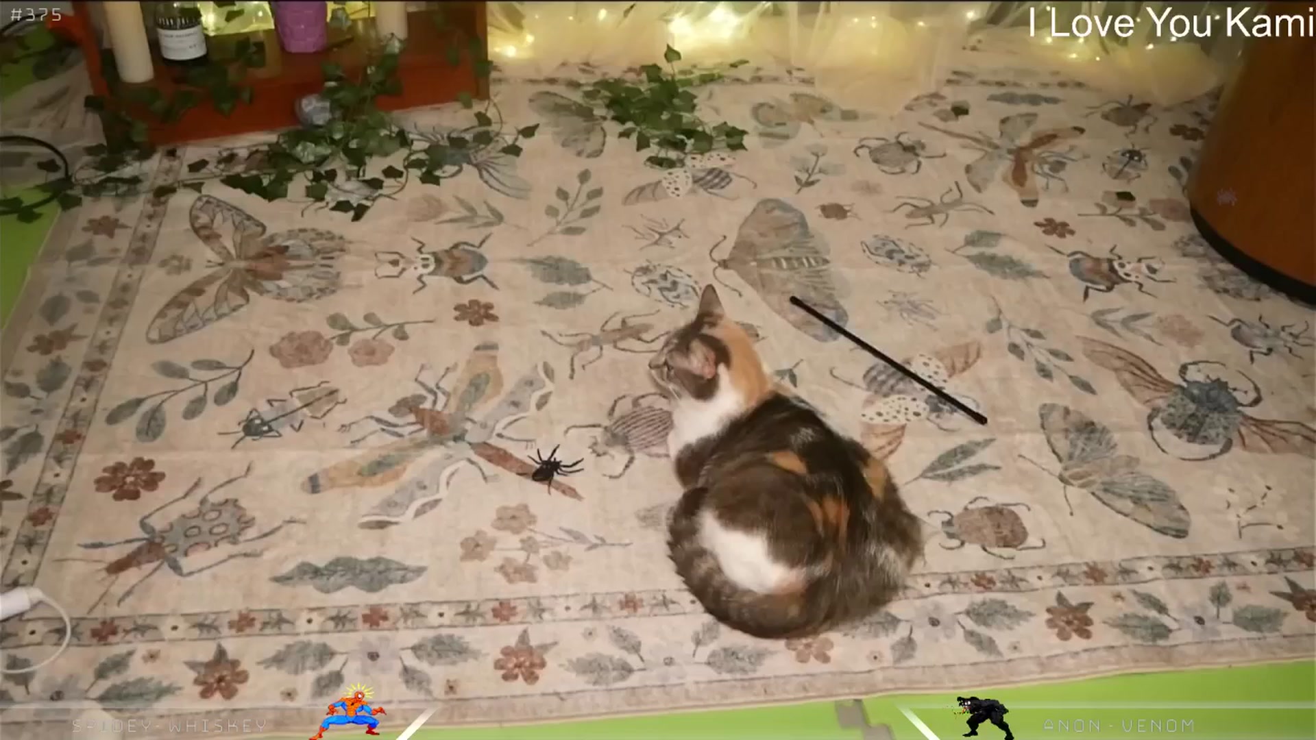 Gallery image thumbnail from Dashy's myfreecams stream on, 03/22/2025, 15:05 image 6 of 20