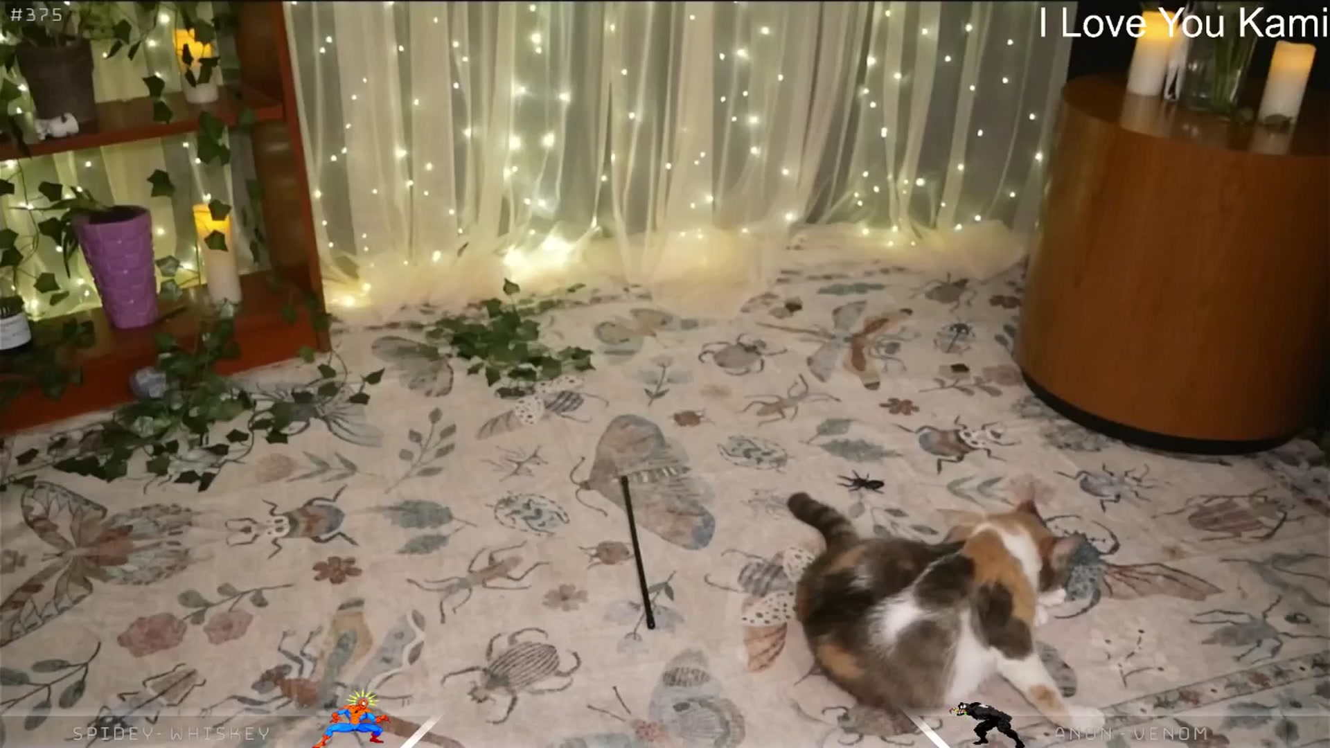 Gallery image thumbnail from Dashy's myfreecams stream on, 03/22/2025, 15:05 image 4 of 20