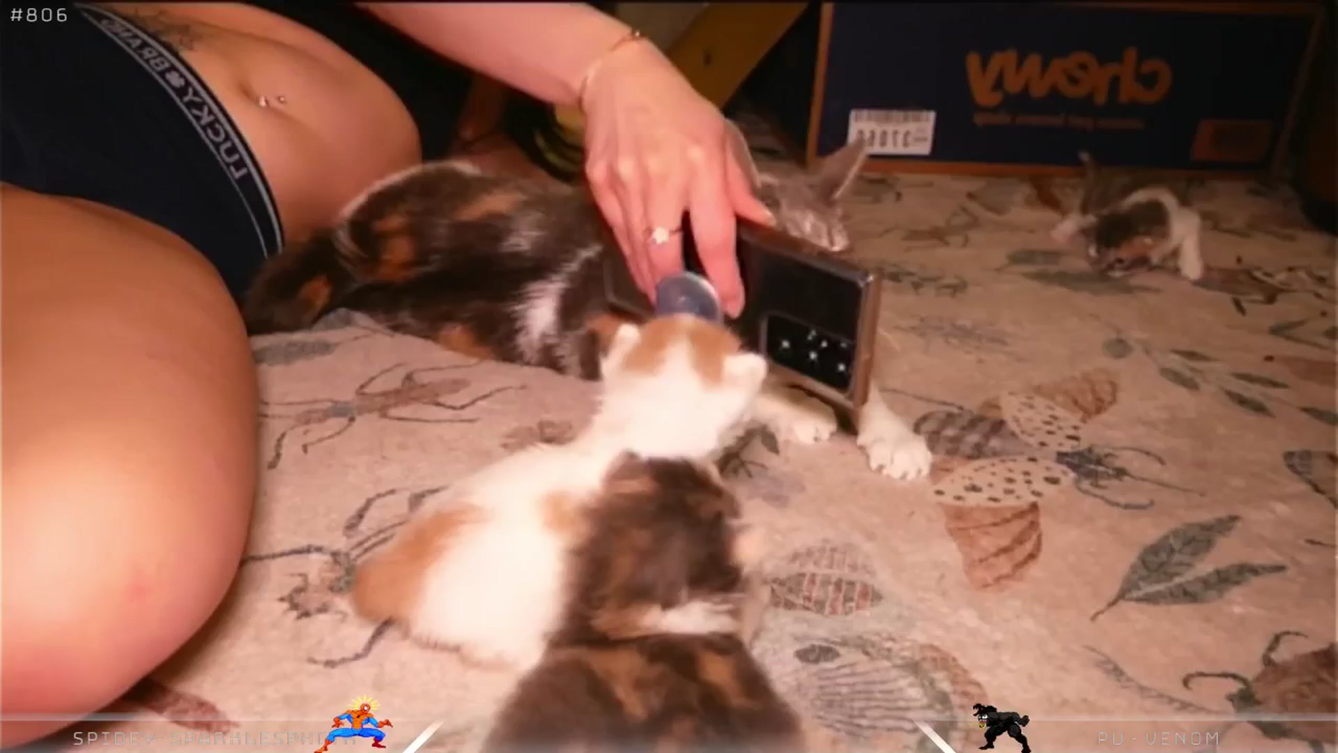 Gallery image thumbnail from Dashy's myfreecams stream on, 04/10/2025, 10:27 image 12 of 20
