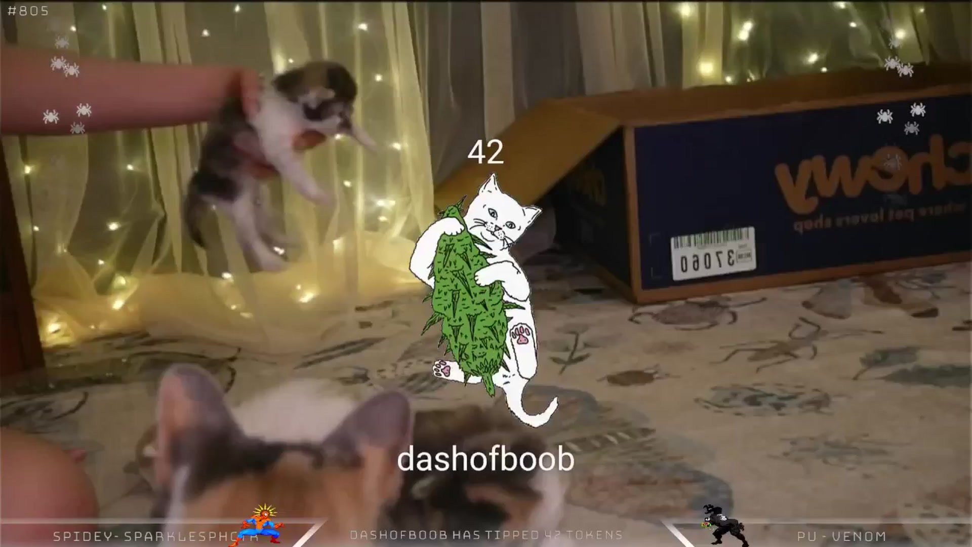 Gallery image thumbnail from Dashy's myfreecams stream on, 04/10/2025, 10:27 image 16 of 20