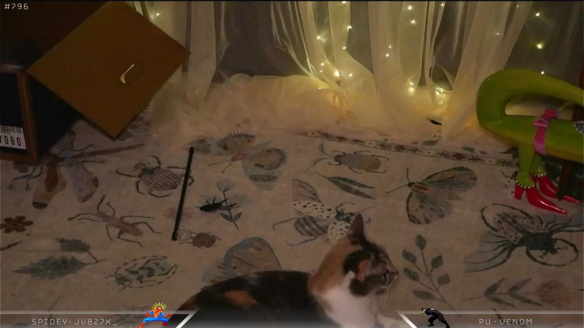 Gallery image thumbnail from Dashy's myfreecams stream on, 04/19/2025, 11:16 image 13 of 20