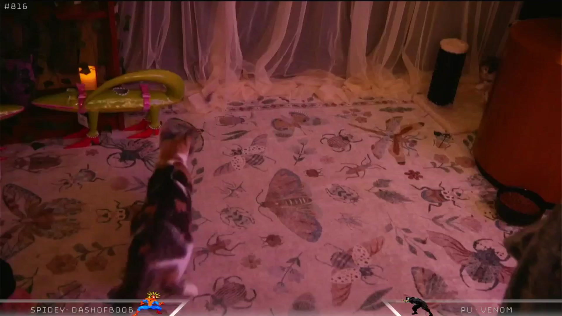 Gallery image thumbnail from Dashy's myfreecams stream on, 04/29/2025, 11:15 image 12 of 20