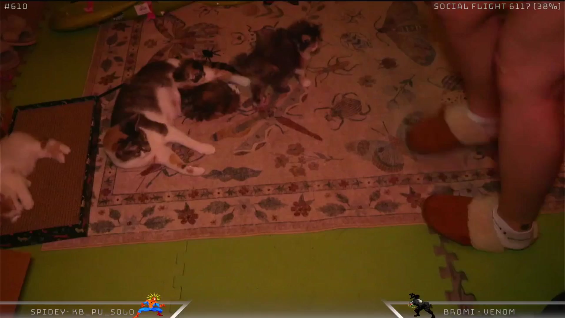 Gallery image thumbnail from Dashy's myfreecams stream on, 05/03/2025, 10:54 image 9 of 20