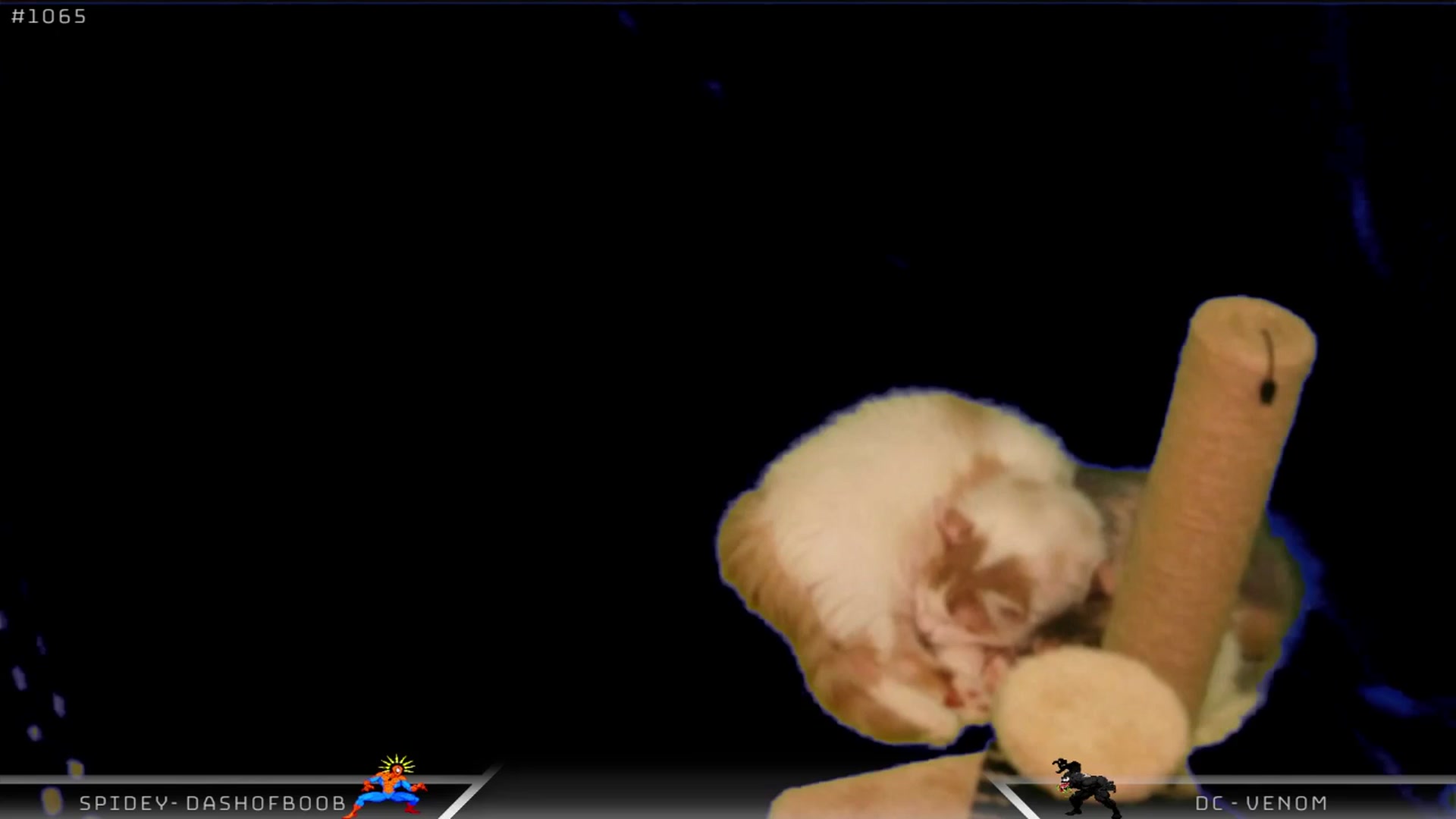 Gallery image thumbnail from Dashy's myfreecams stream on, 07/09/2025, 09:33 image 6 of 20