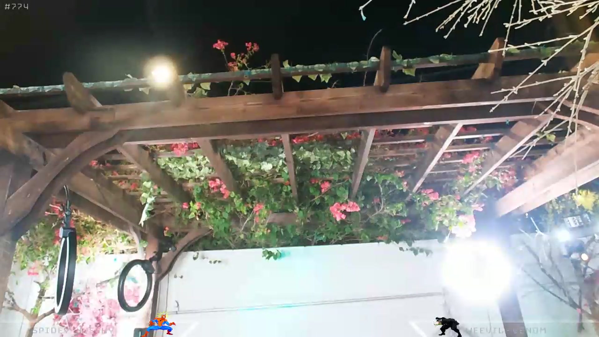 Gallery image thumbnail from Dashy's myfreecams stream on, 05/21/2026, 05:46 image 12 of 20