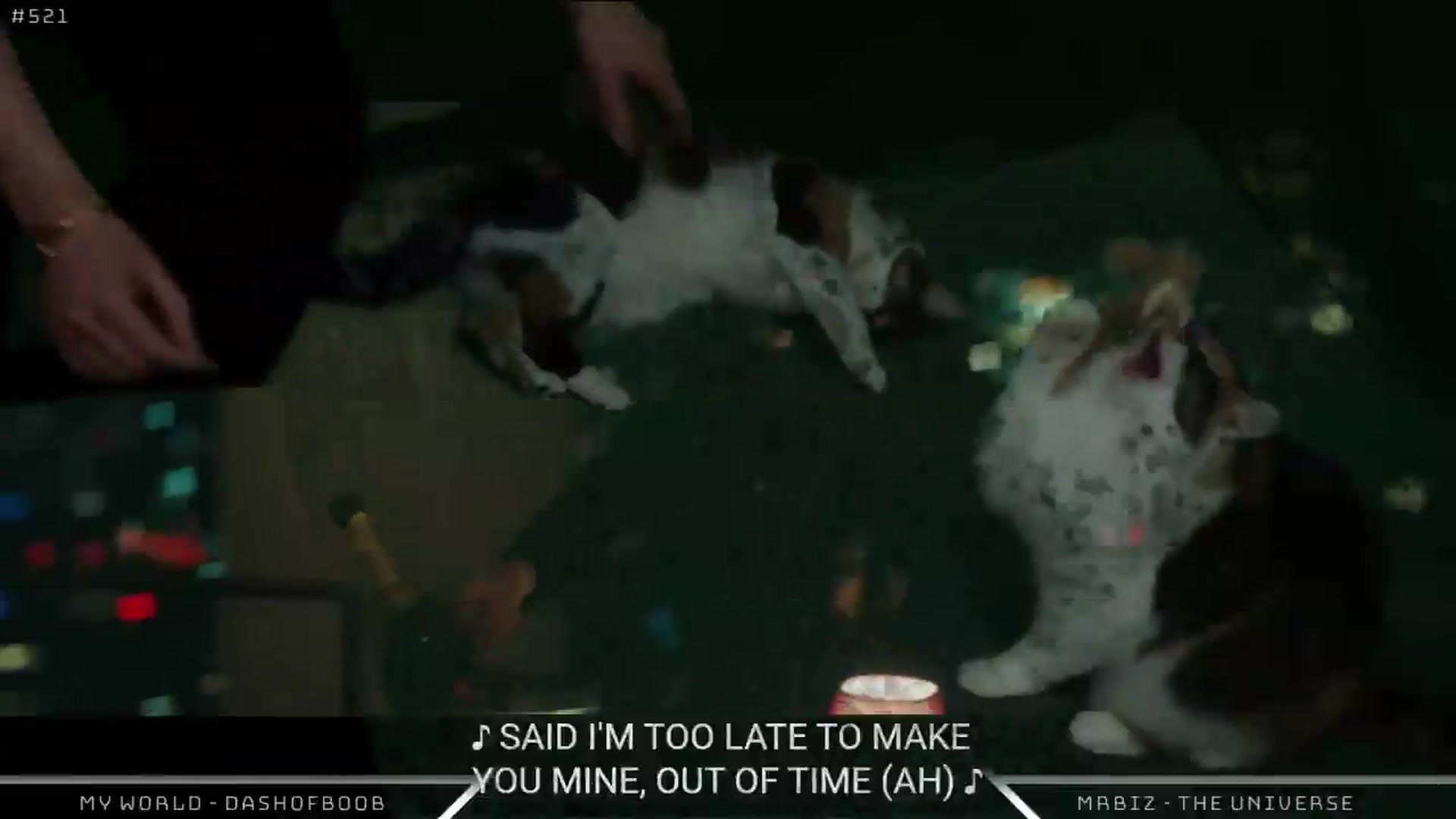 Gallery image thumbnail from Dashy's myfreecams stream on, 08/28/2026, 10:01 image 6 of 20