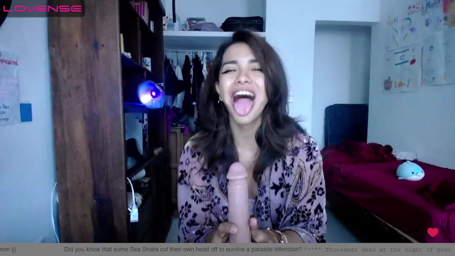 Gallery image thumbnail from Daslilamond's myfreecams stream on, 12/27/2022, 22:52 image 10 of 20
