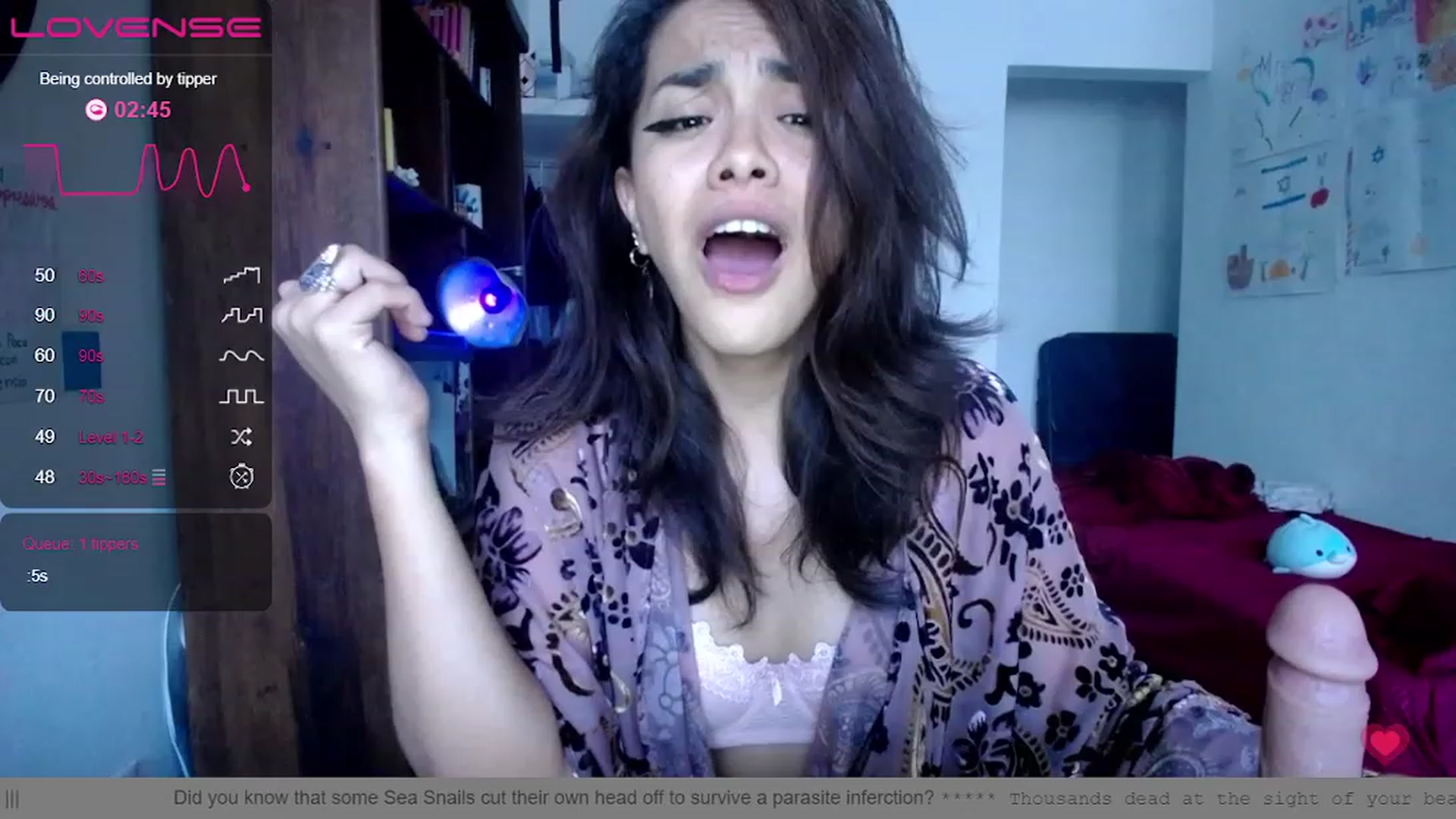 Gallery image thumbnail from Daslilamond's myfreecams stream on, 12/27/2022, 22:52 image 11 of 20