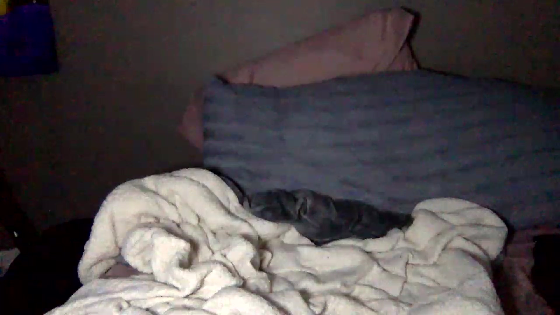 Gallery image thumbnail from Datzashley's myfreecams stream on, 02/24/2023, 23:21 image 20 of 20