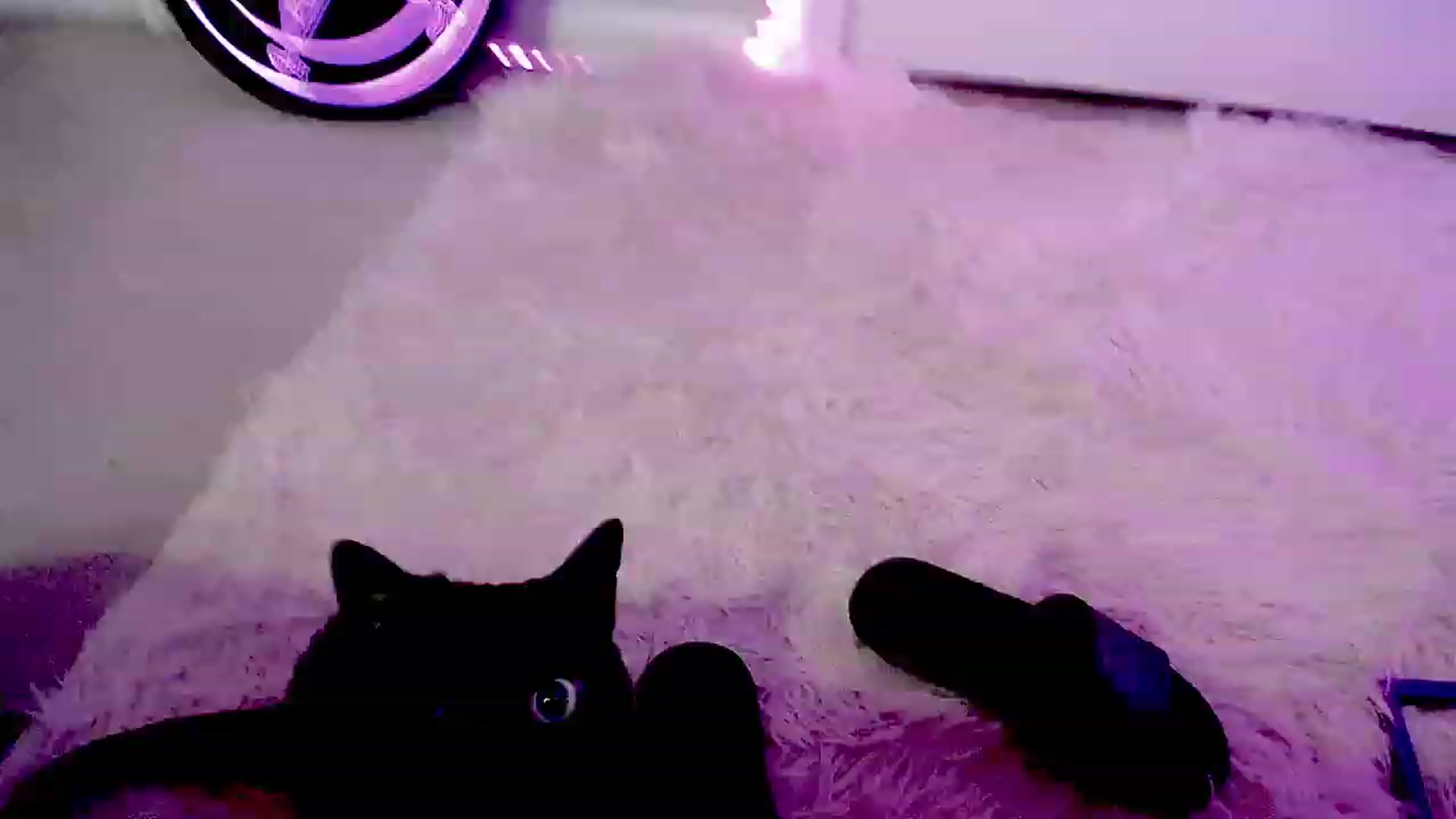 Gallery image thumbnail from DeVille's myfreecams stream on, 11/02/2023, 20:24 image 8 of 20
