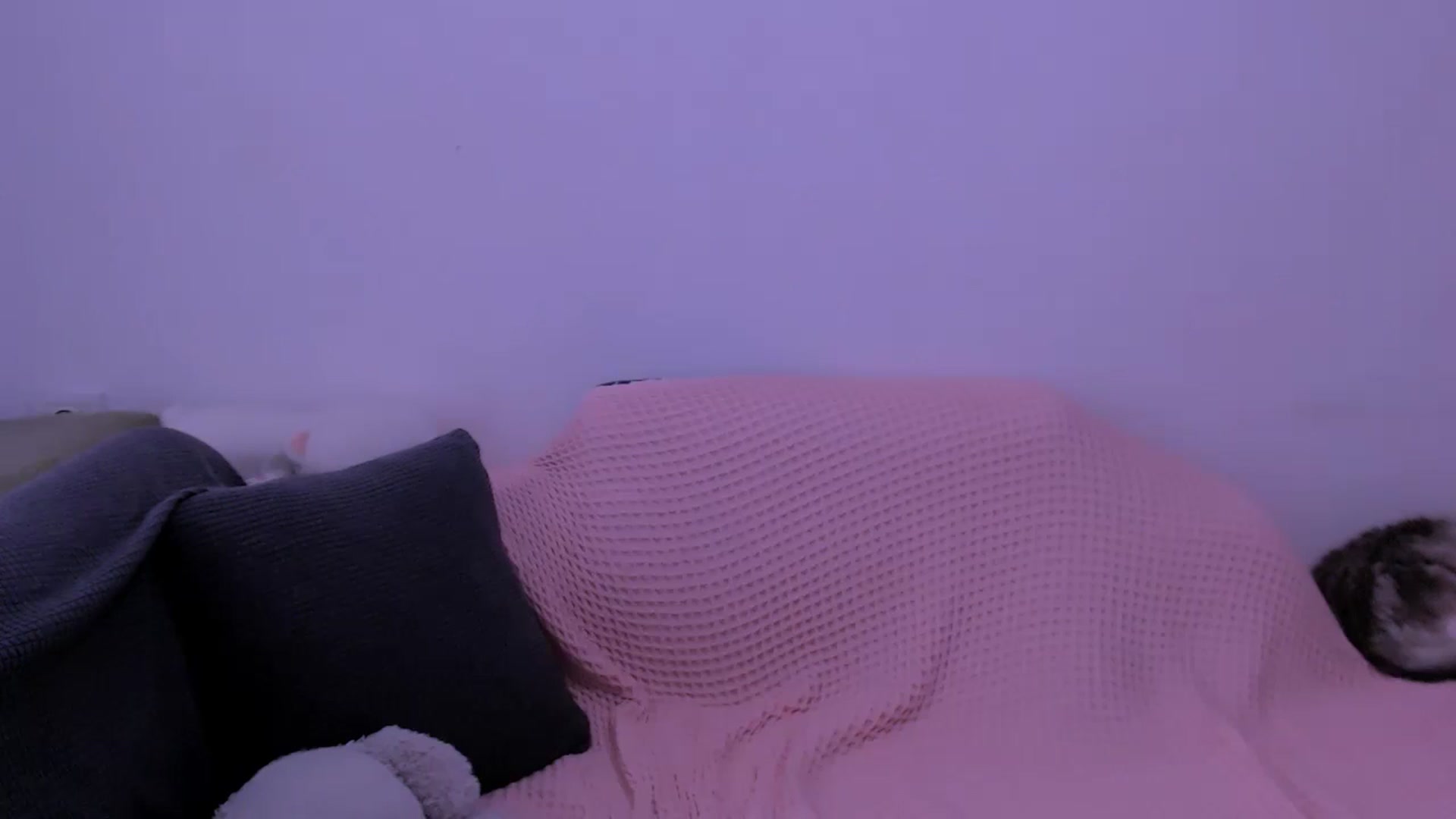 Gallery image thumbnail from DeVira_loveme's myfreecams stream on, 05/25/2025, 04:23 image 20 of 20