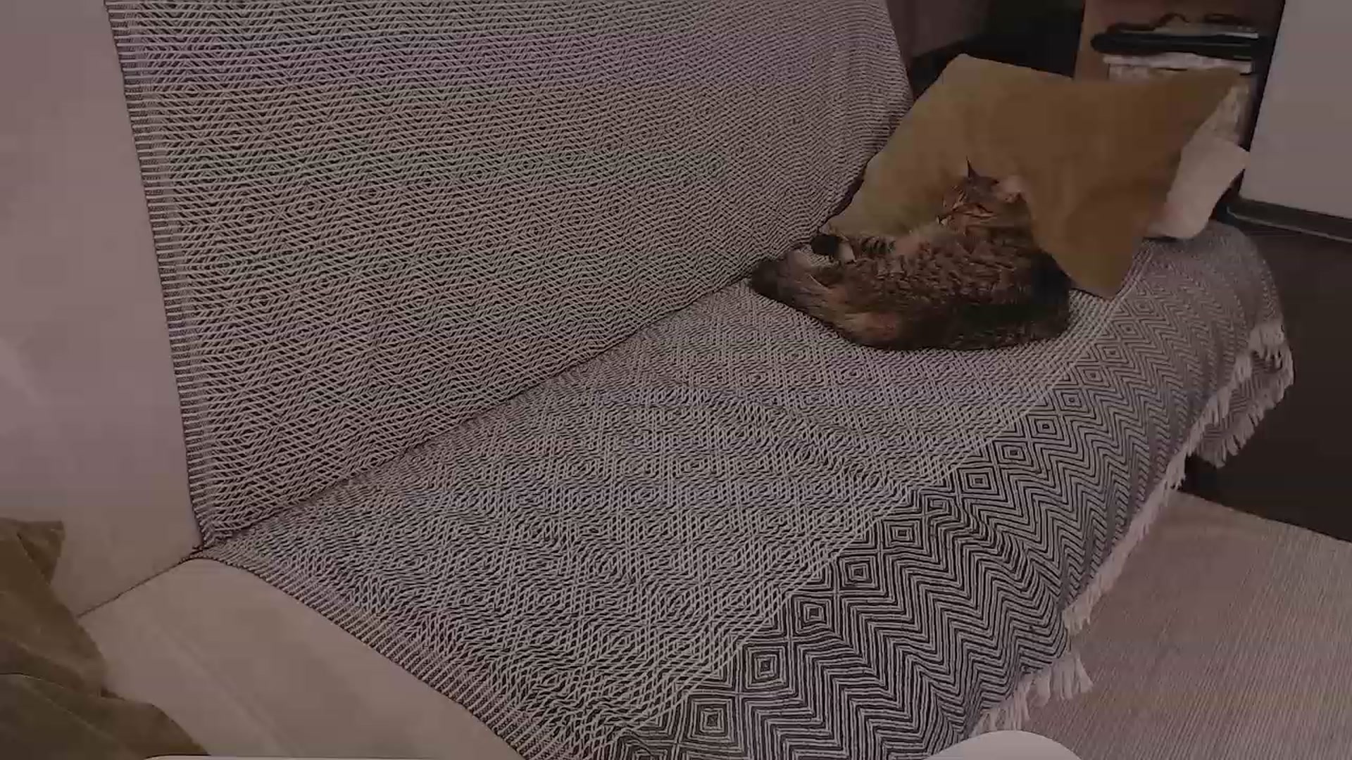 Gallery image thumbnail from DearSylvia's myfreecams stream on, 11/17/2022, 16:41 image 9 of 20