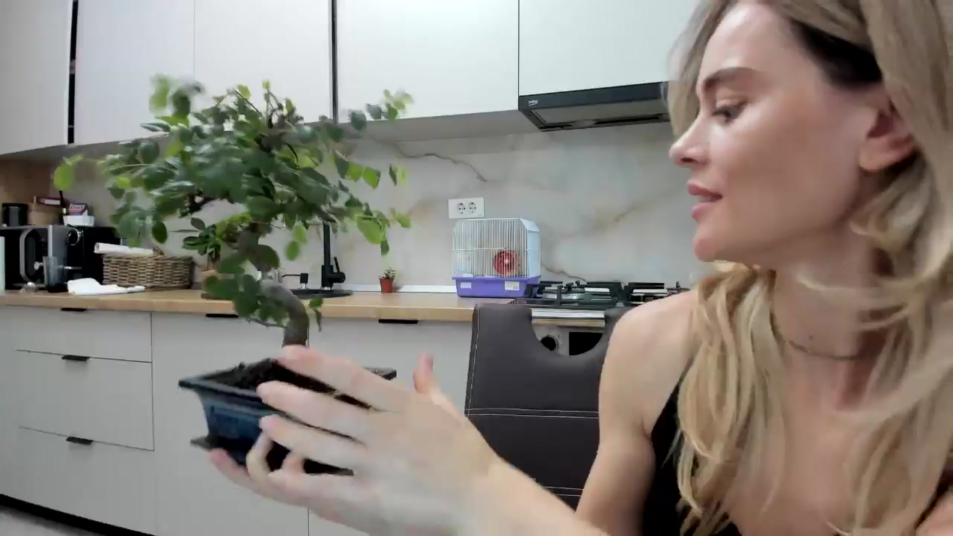 Gallery image thumbnail from DebbyPaige's myfreecams stream on, 11/14/2024, 12:41 image 15 of 20
