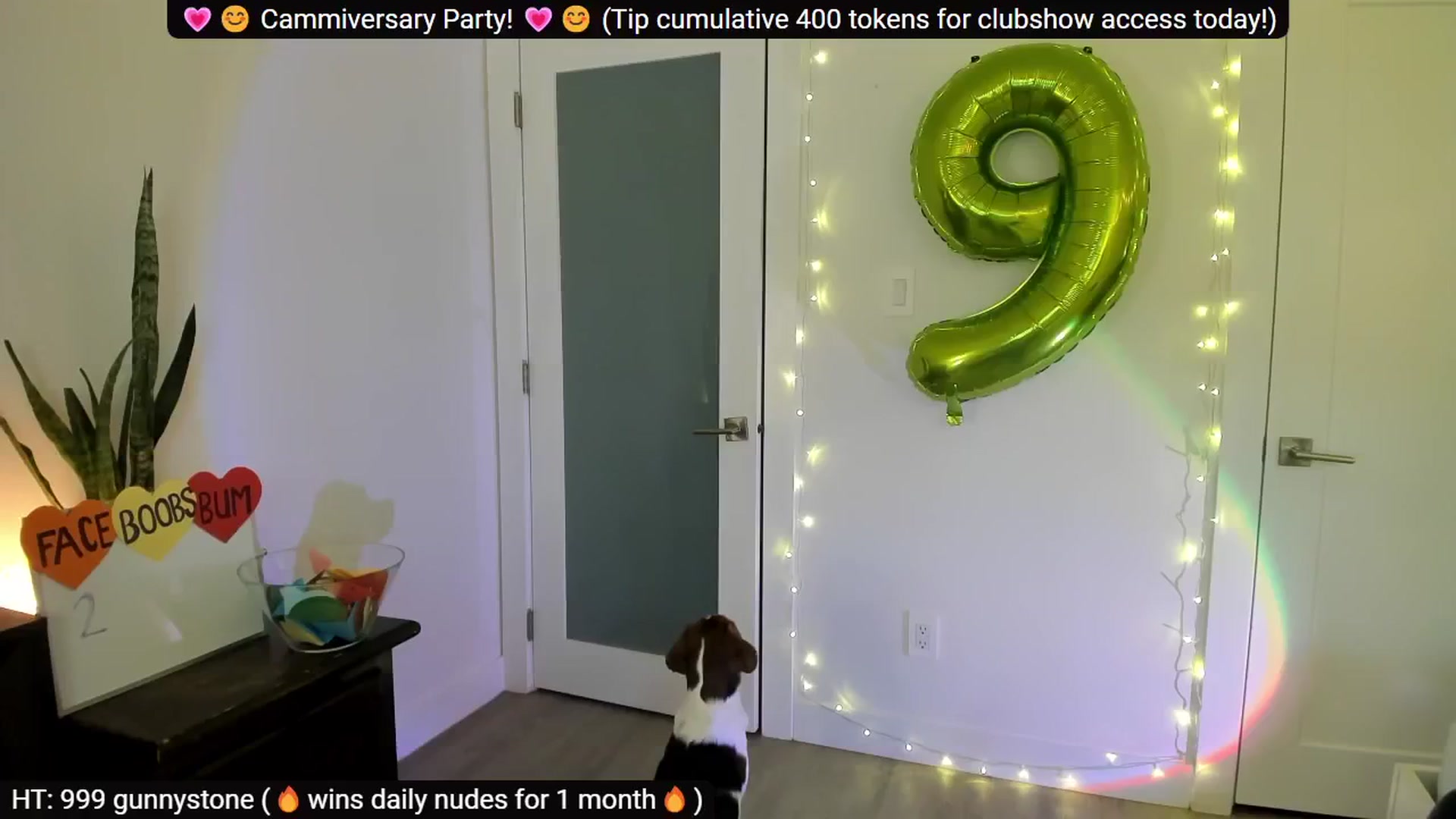 Gallery image thumbnail from Dee9Years's myfreecams stream on, 04/27/2024, 21:25 image 9 of 20