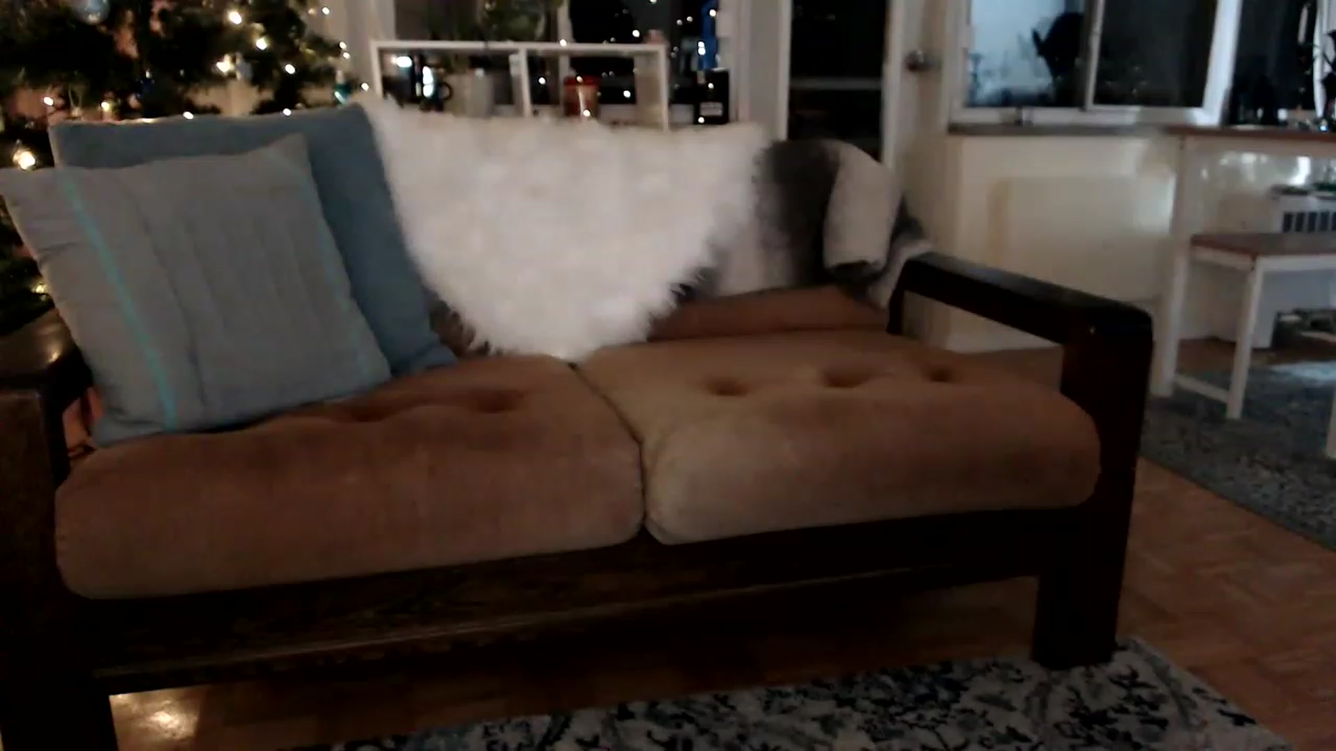 Gallery image thumbnail from Deeazepam's myfreecams stream on, 12/02/2022, 23:40 image 18 of 20