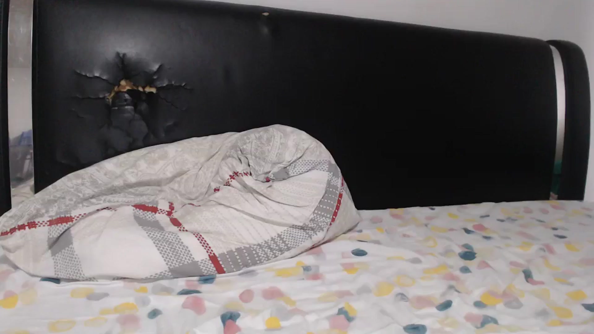 Gallery image thumbnail from Deeelicious's myfreecams stream on, 02/10/2024, 14:59 image 8 of 20