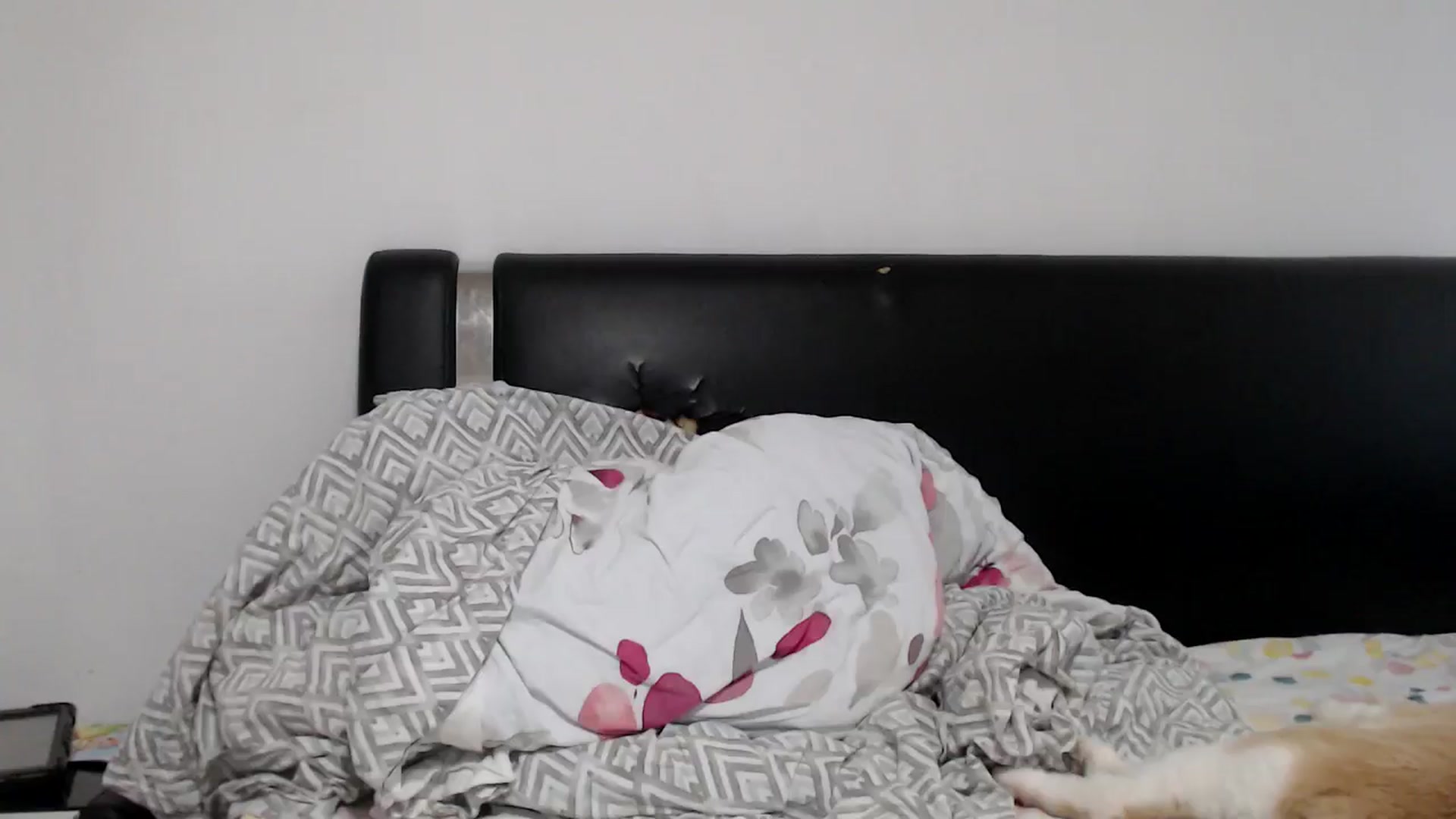 Gallery image thumbnail from Deeelicious's myfreecams stream on, 05/24/2024, 12:05 image 12 of 20
