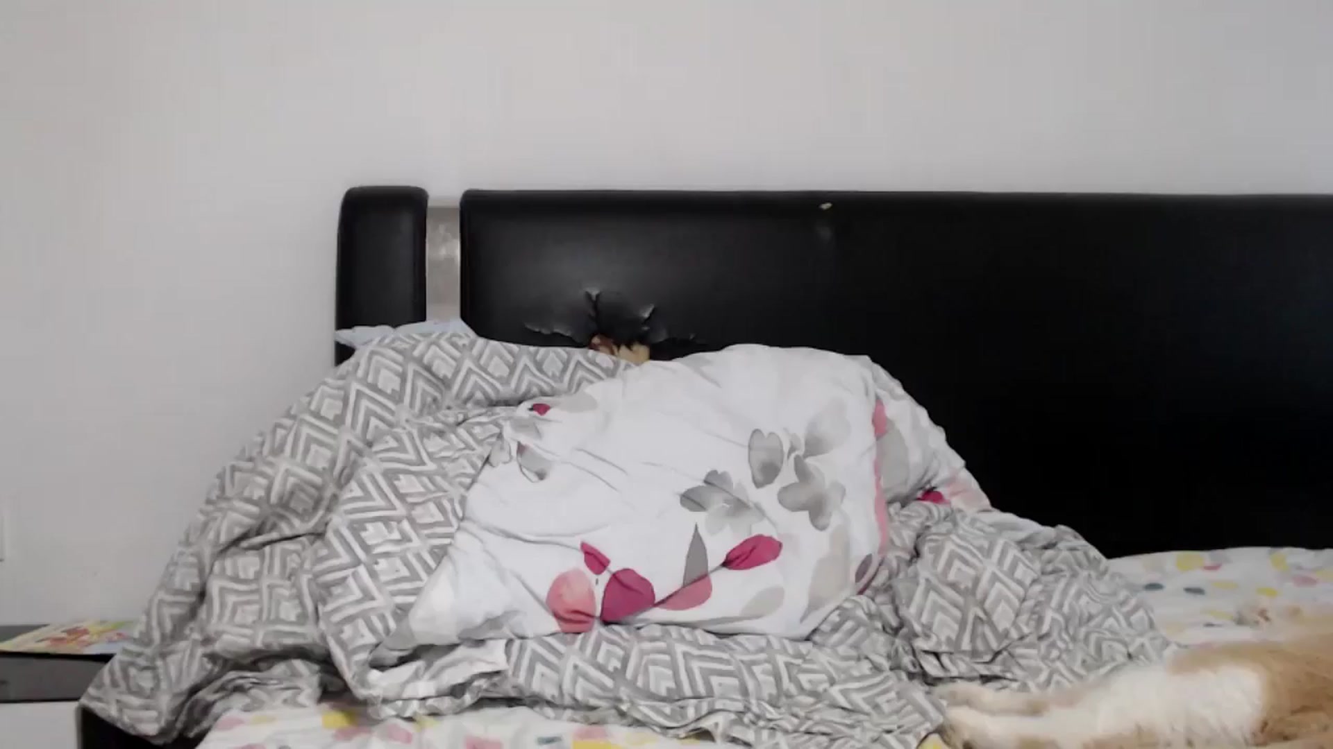 Gallery image thumbnail from Deeelicious's myfreecams stream on, 05/24/2024, 12:23 image 17 of 20