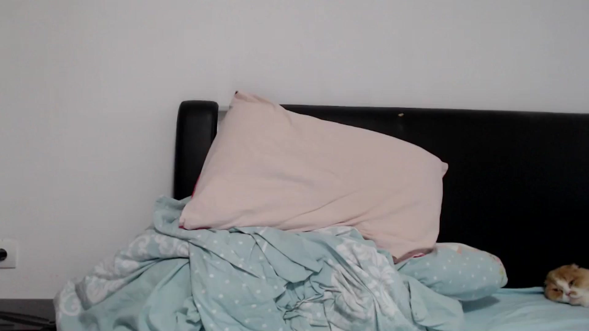 Gallery image thumbnail from Deeelicious's myfreecams stream on, 07/30/2024, 14:25 image 3 of 20
