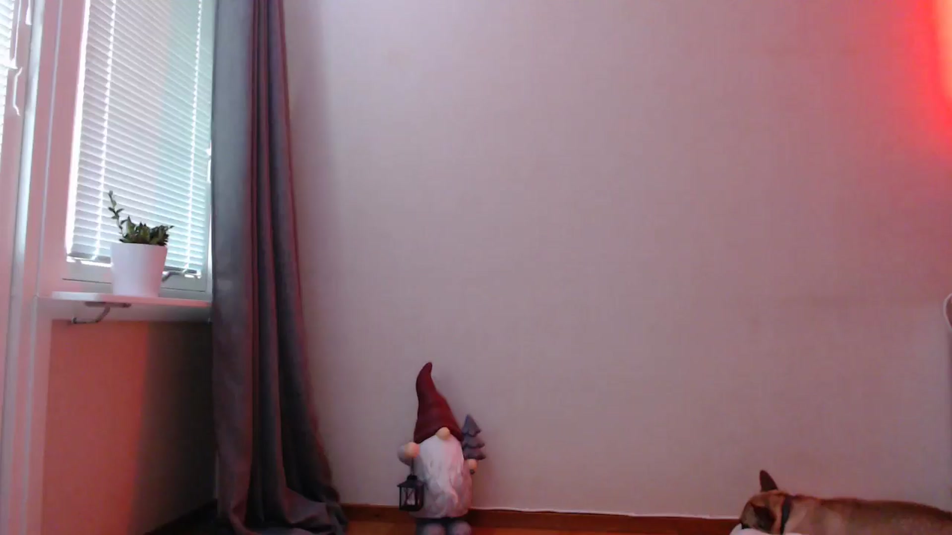 Gallery image thumbnail from Deeleecious94's myfreecams stream on, 11/06/2024, 09:59 image 3 of 20