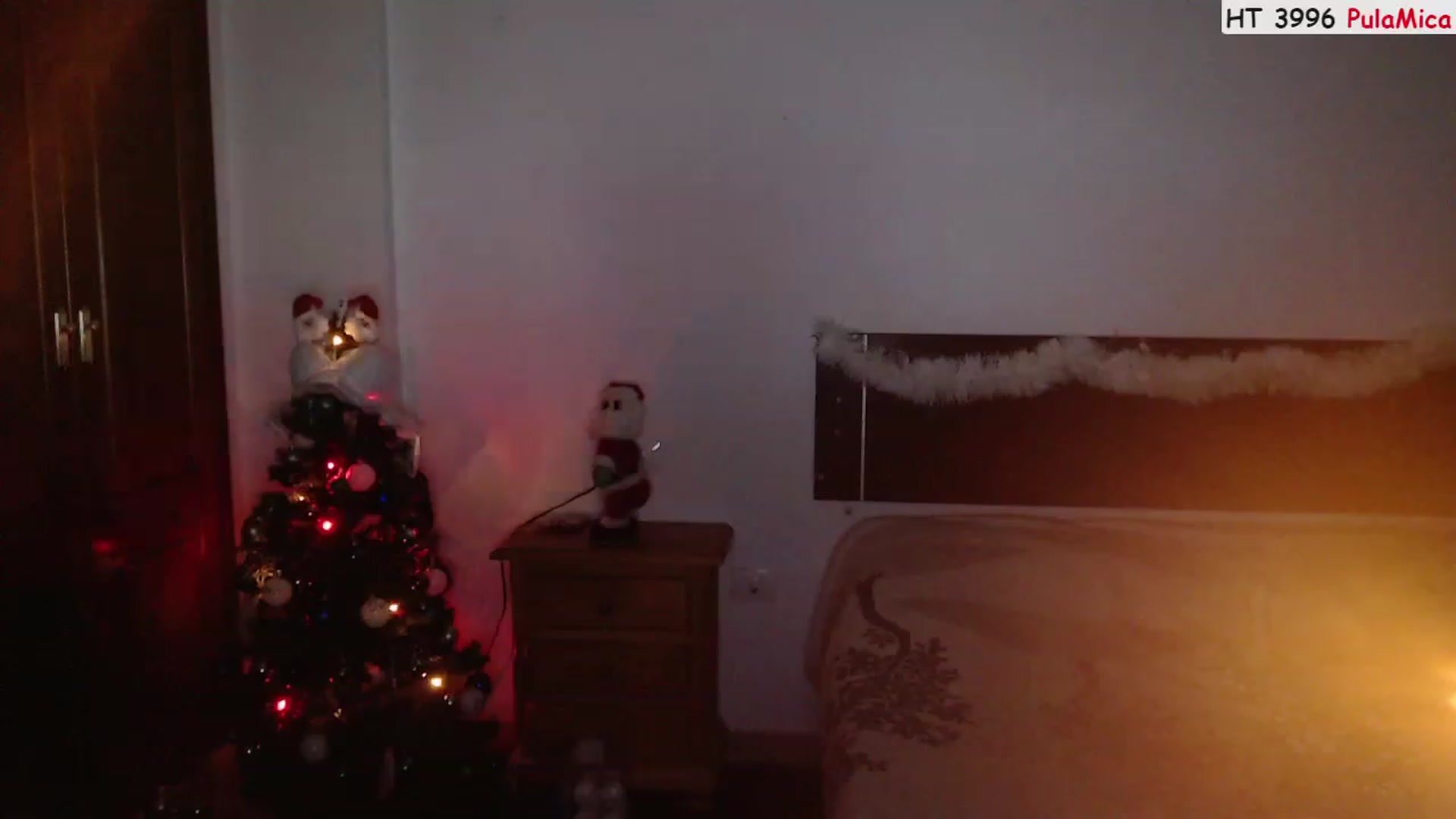 Gallery image thumbnail from Deeleerious's myfreecams stream on, 12/11/2022, 01:58 image 14 of 20