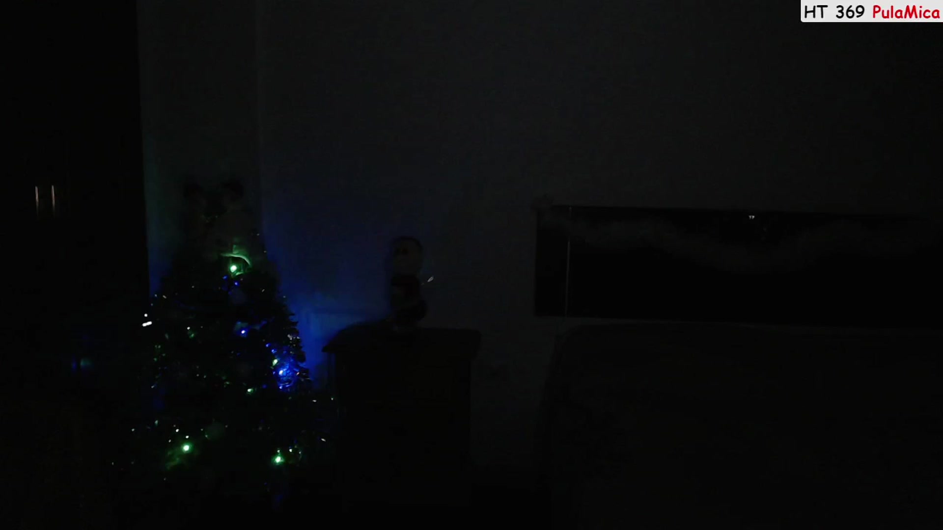 Gallery image thumbnail from Deeleerious's myfreecams stream on, 12/24/2022, 01:00 image 11 of 20