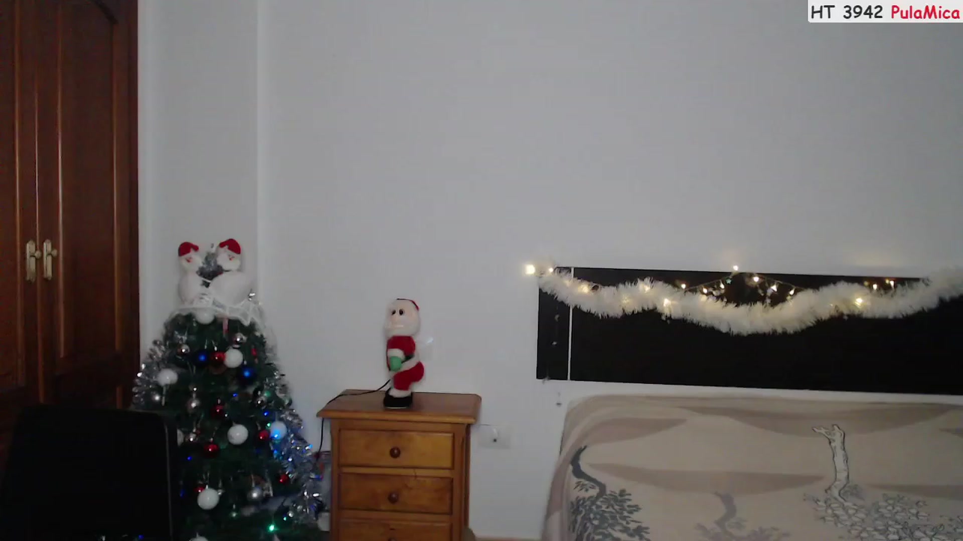 Gallery image thumbnail from Deeleerious's myfreecams stream on, 12/25/2022, 24:01 image 6 of 20
