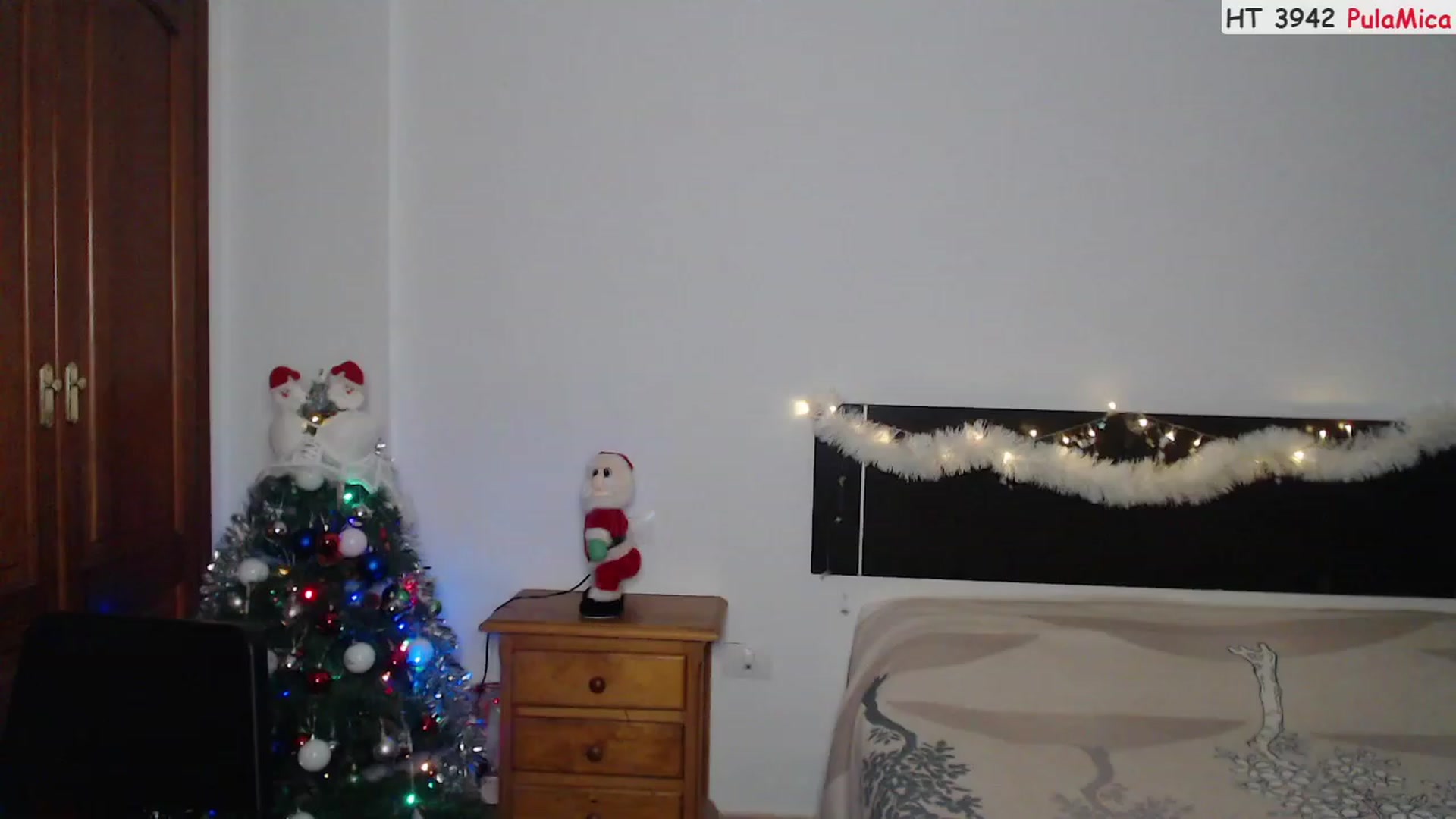 Gallery image thumbnail from Deeleerious's myfreecams stream on, 12/25/2022, 24:01 image 5 of 20