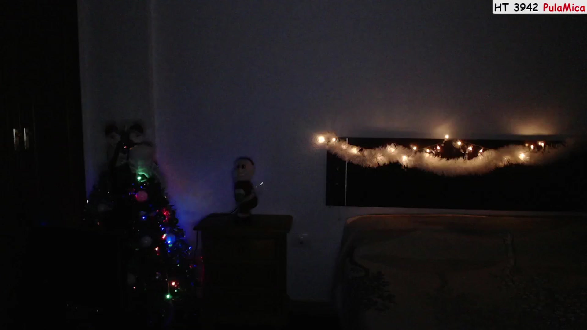 Gallery image thumbnail from Deeleerious's myfreecams stream on, 12/25/2022, 02:09 image 14 of 20