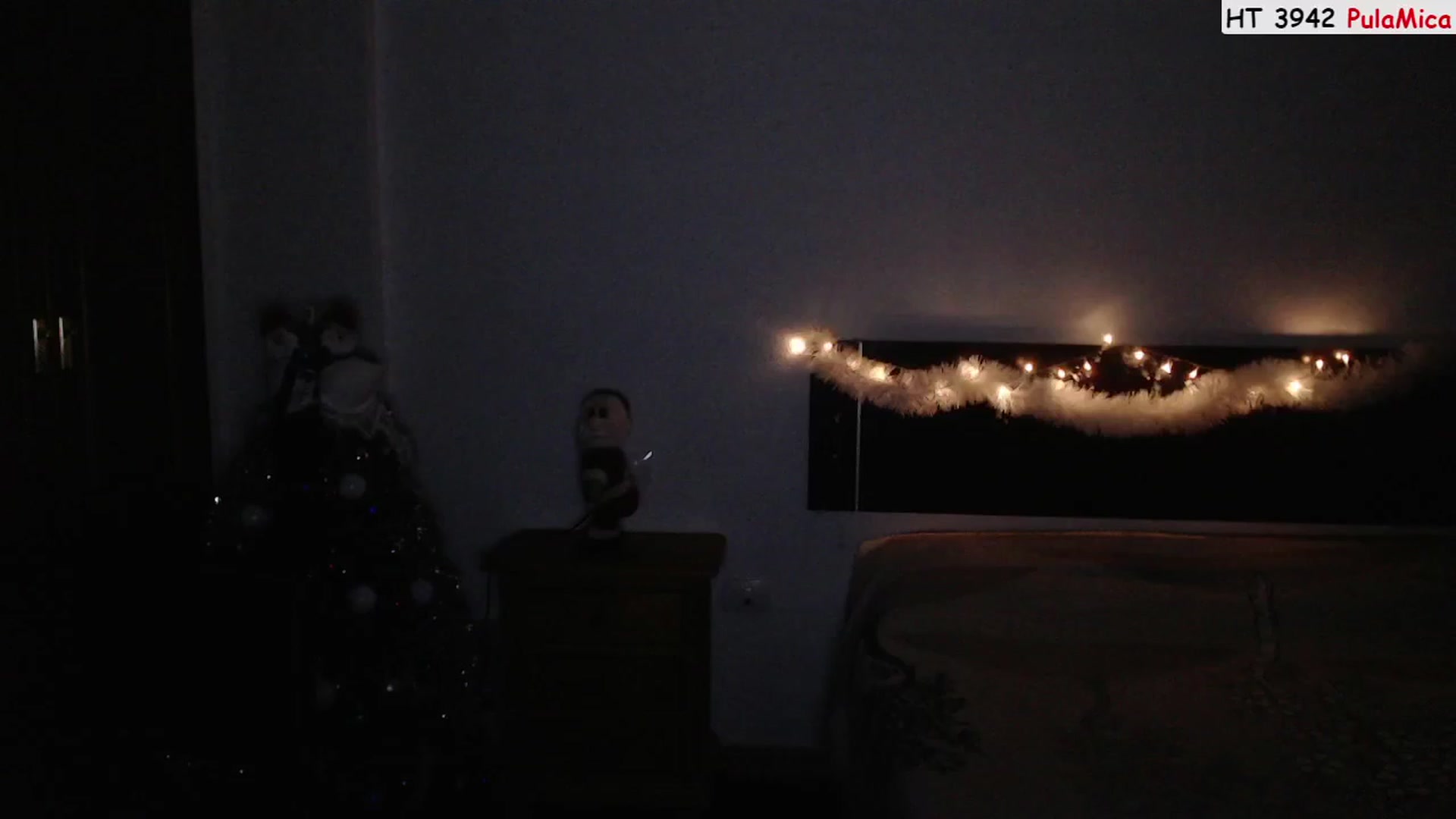 Gallery image thumbnail from Deeleerious's myfreecams stream on, 12/25/2022, 02:09 image 13 of 20