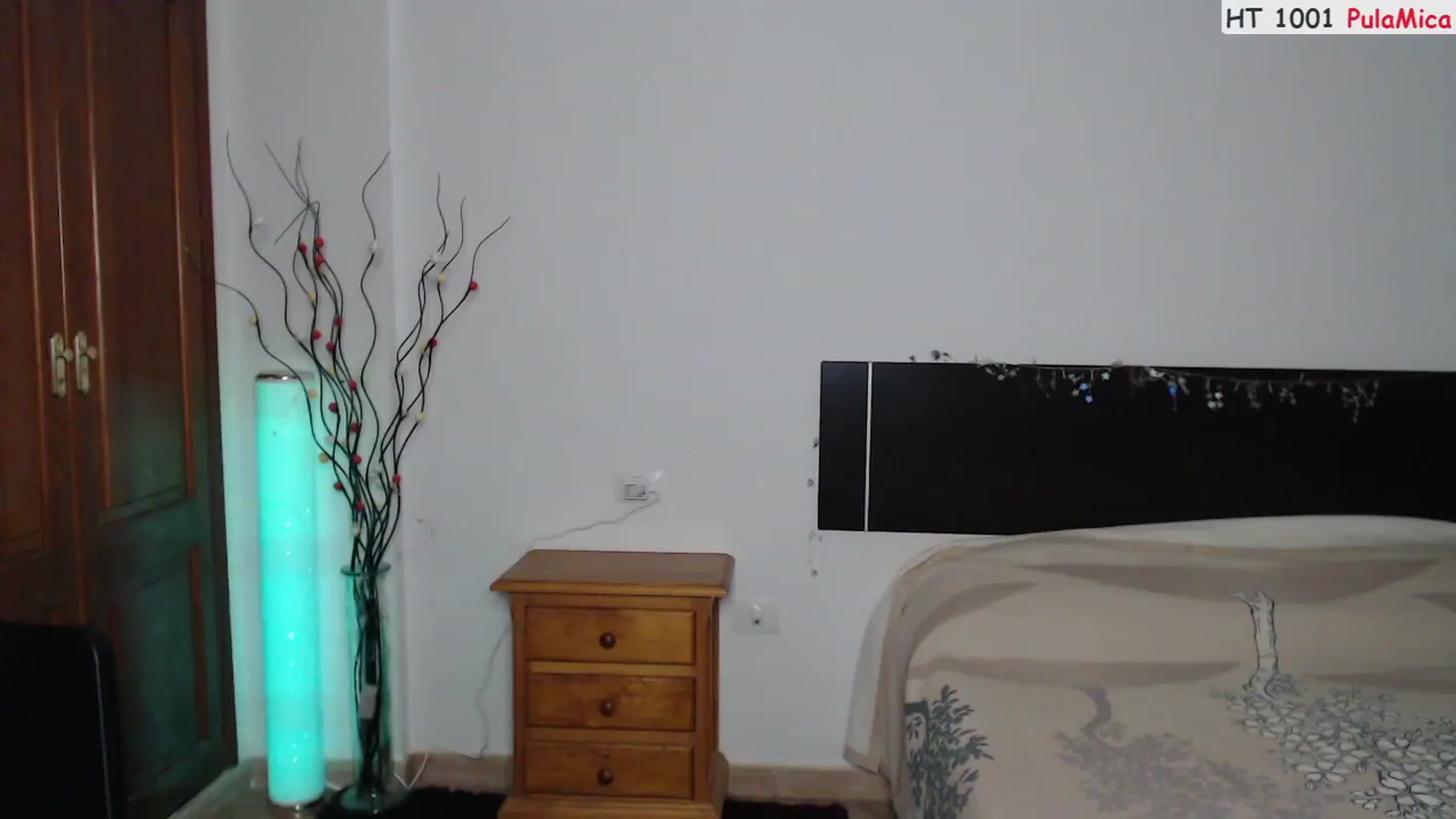 Gallery image thumbnail from Deeleerious's myfreecams stream on, 02/08/2023, 24:03 image 14 of 20