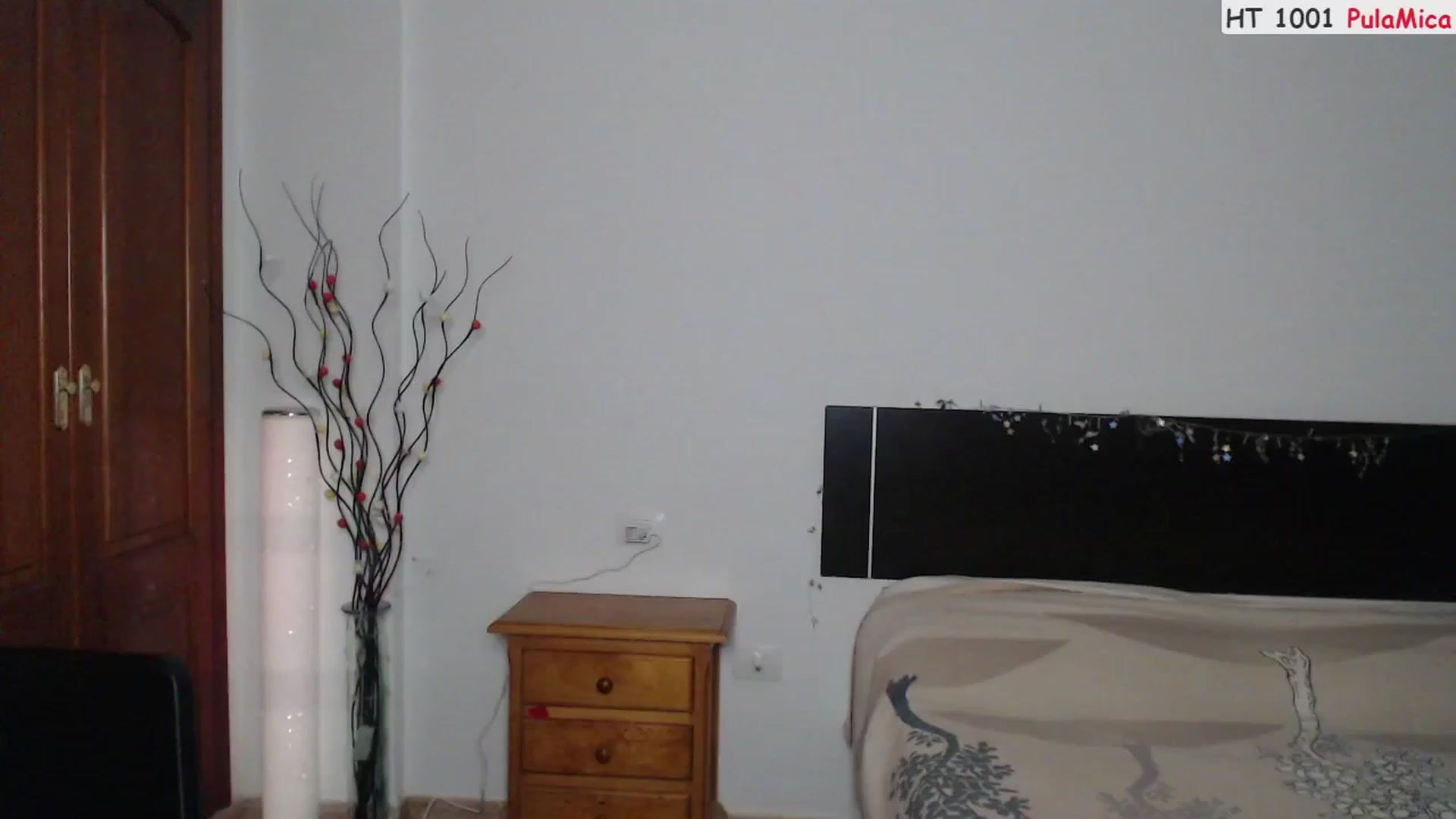 Gallery image thumbnail from Deeleerious's myfreecams stream on, 02/12/2023, 01:37 image 7 of 20