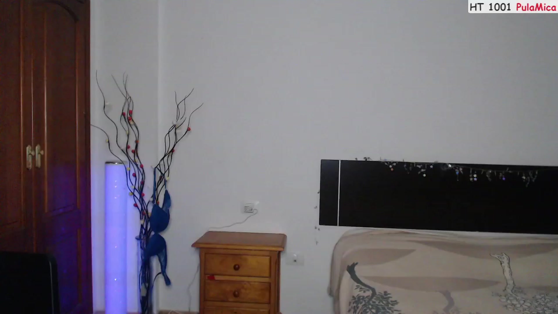 Gallery image thumbnail from Deeleerious's myfreecams stream on, 02/12/2023, 02:10 image 13 of 20