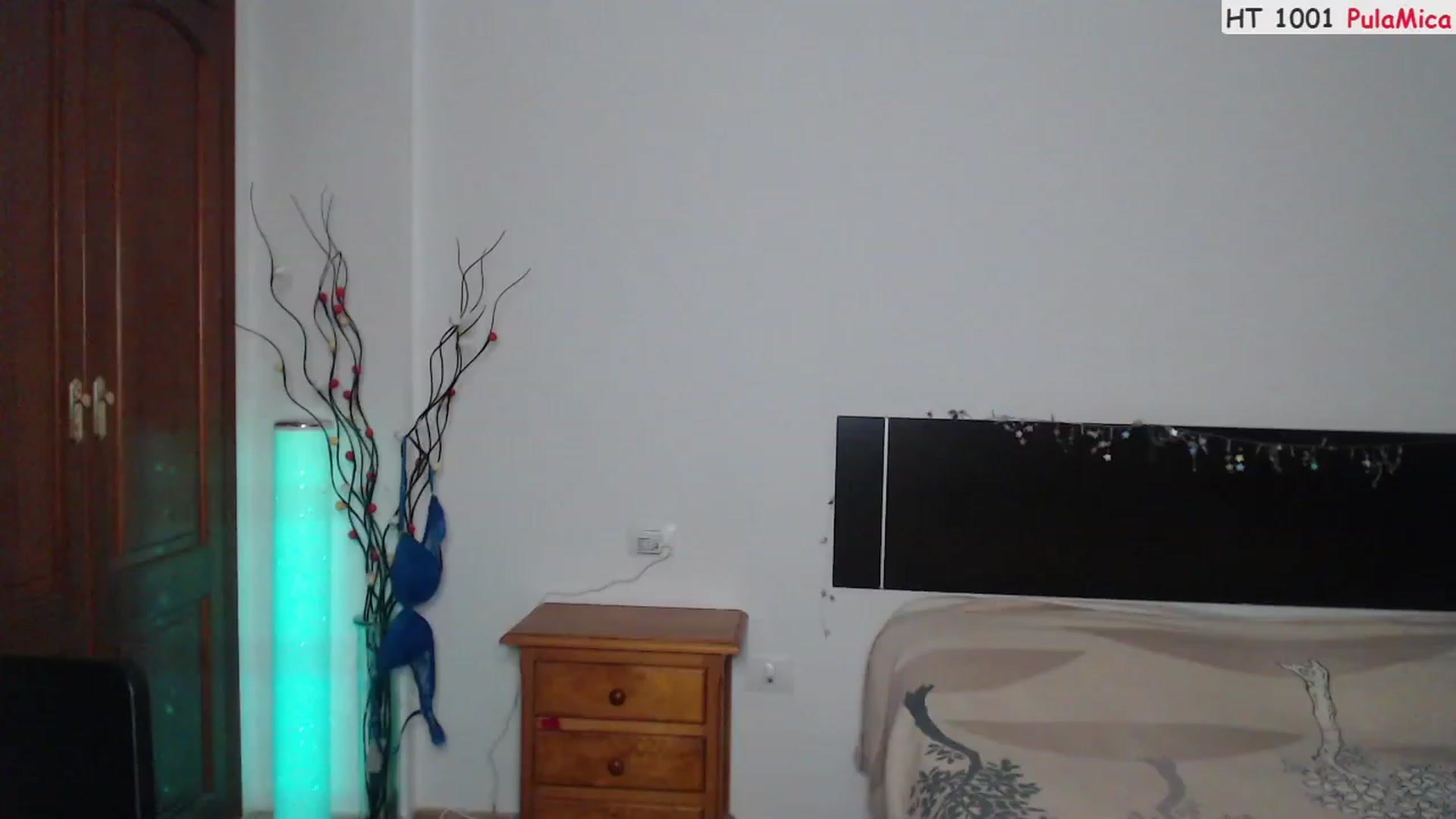 Gallery image thumbnail from Deeleerious's myfreecams stream on, 02/12/2023, 02:10 image 11 of 20